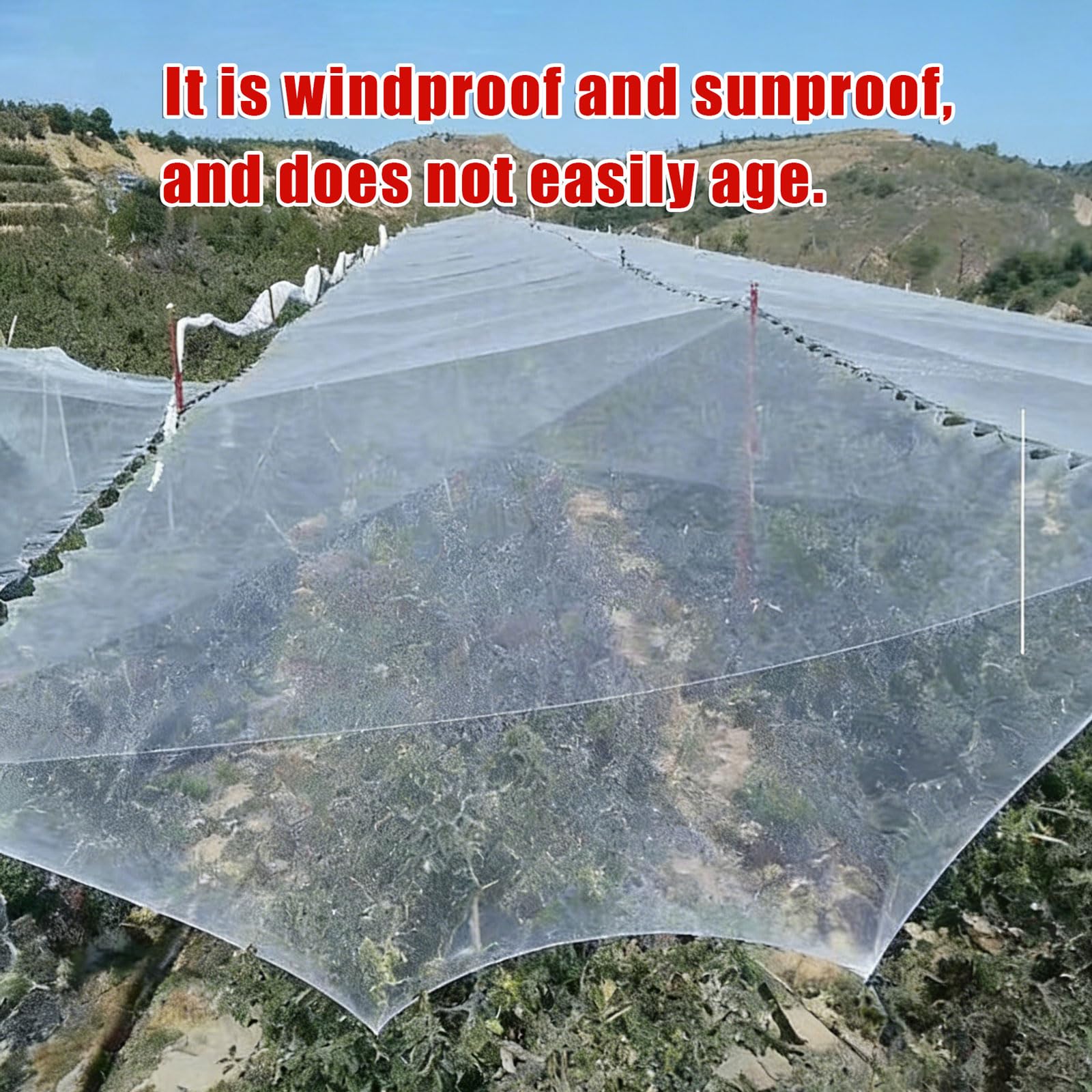Red antigranizo para plantas, resistente a los rayos UV, protección de jardín a prueba de desgarros, malla antipájaros reutilizable, para jardines e invernaderos, resistente a la intemperie, perfecta