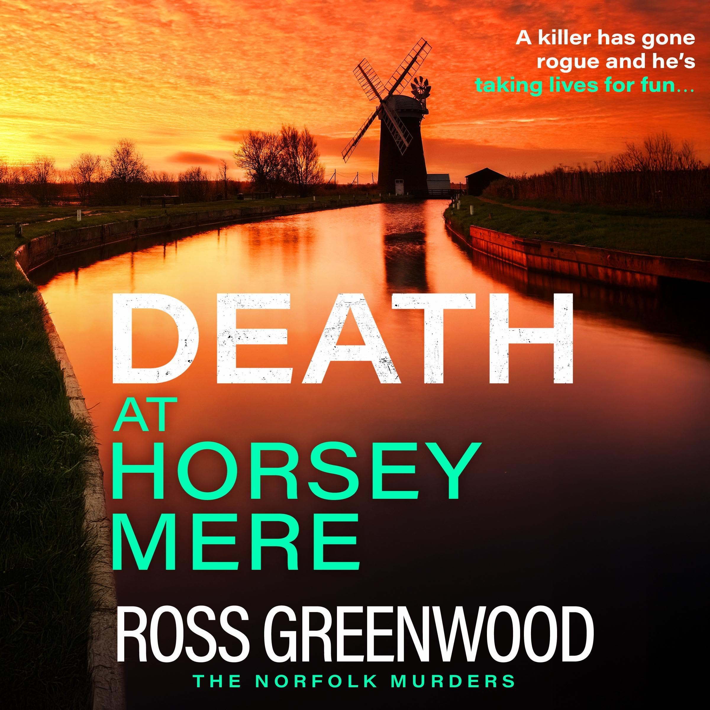 Cover art for Death at Horsey Mere