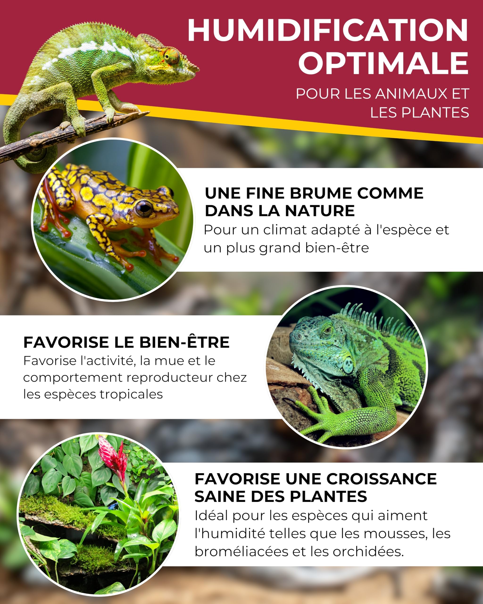 Hobby Terraristik Easy Rain Mini | Système d’arrosage automatique pour terrariums | Irrigation réglable pour reptiles, amphibiens et habitats végétaux