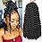 Short Passion Twist Hair 12 Inch 8 Packs Passion Twist Crochet Hair For Women Curly Water Wave Braiding Hair Spring Twist Hair Crochet Braids Synthetic Hair Extension (12 Inch (Pack of 8), 1B)