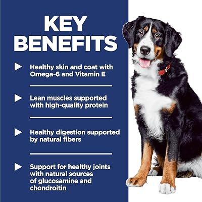 Hill's Science Diet Adult 1-5 Large Breed Dry Dog Food
