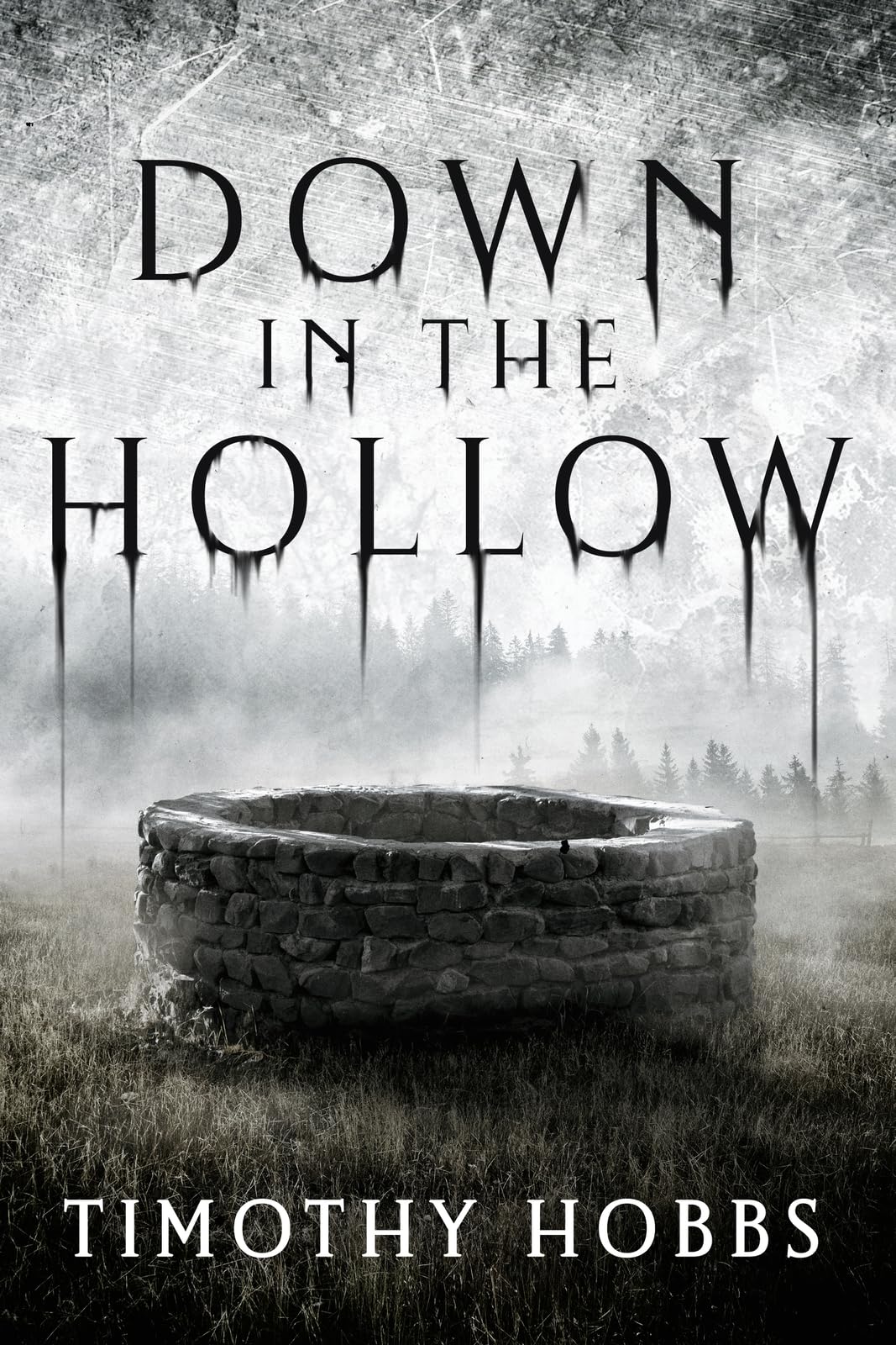 Buy Down in the Hollow — BookShops.in