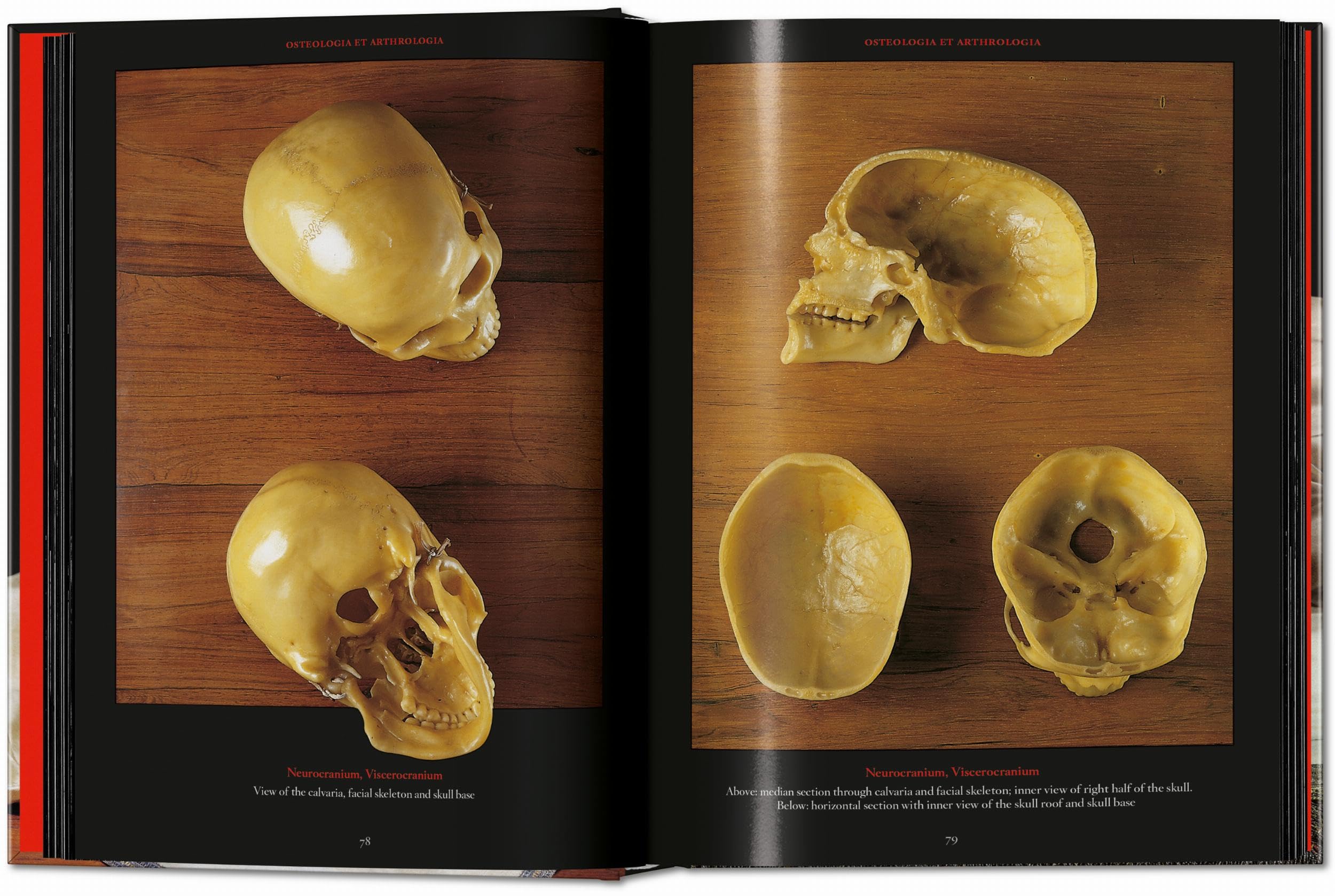 Anatomical Waxes. 45th Ed. (45th Edition)