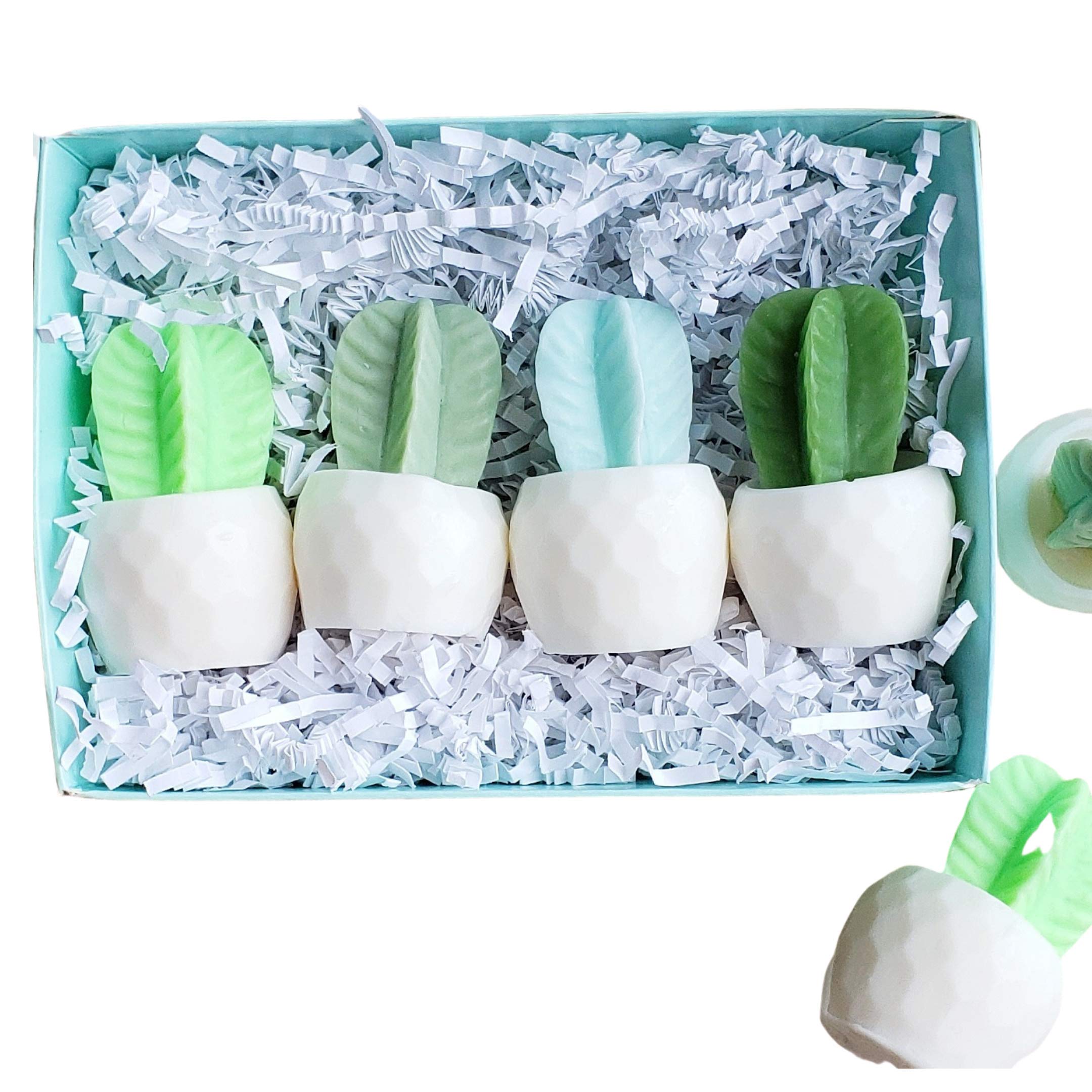 Cactus Handmade Soap Gift Set Women for Garden Lovers / Birthday / Christmas / Under 30