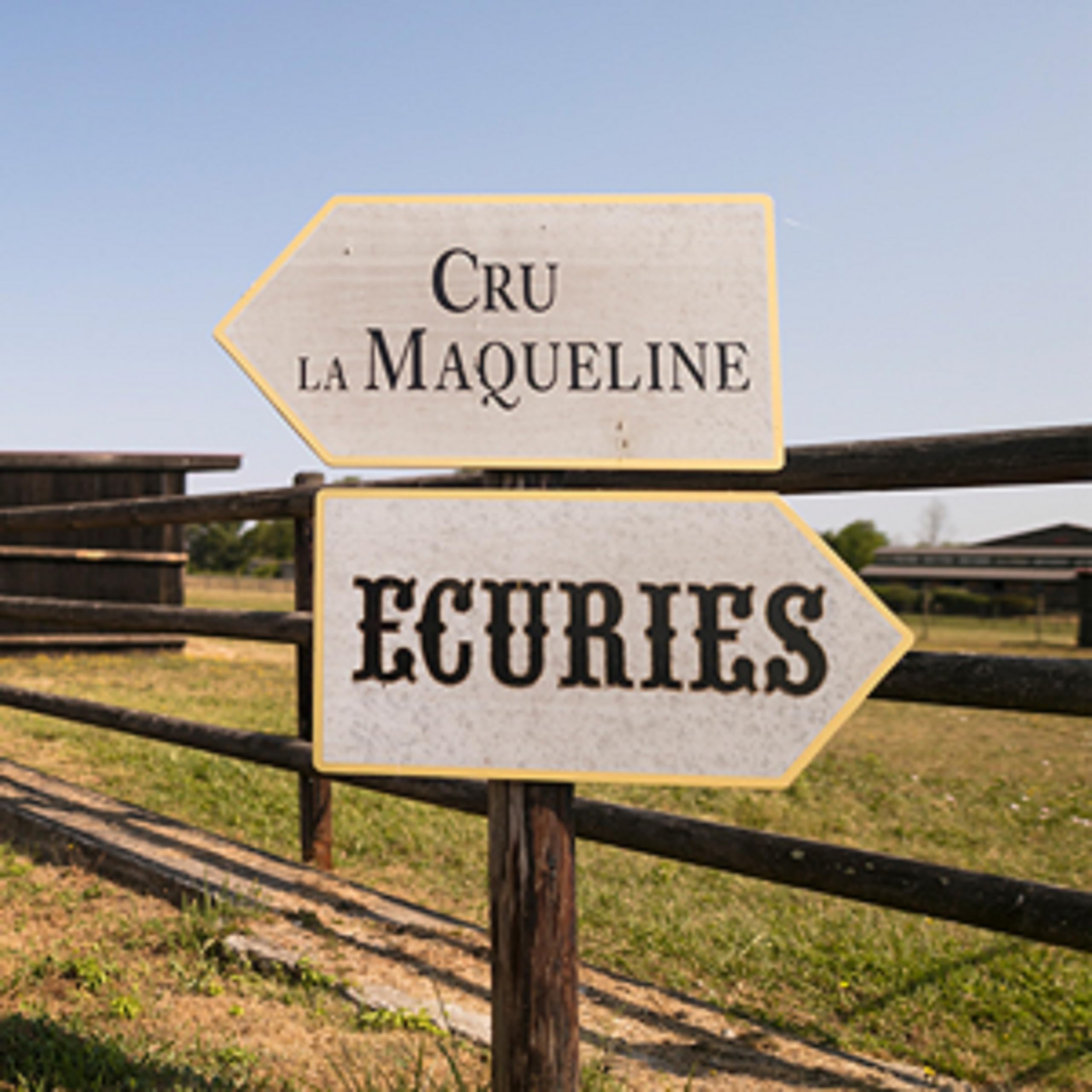 Cru la Maqueline - AOP Bordeaux - Vin Rouge - Terra Vitis - Lot de 6 bouteilles x 75 cl
