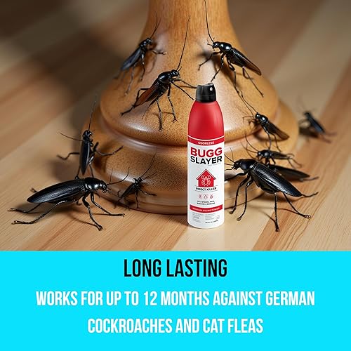 Miniatura 2 de BUGGSLAYER Insecticde RTU Aerosol  Asesino de insectos para interiores  Arañas, hormigas, cucarachas, chinches y más  Inodoro, sin manchas, lata de