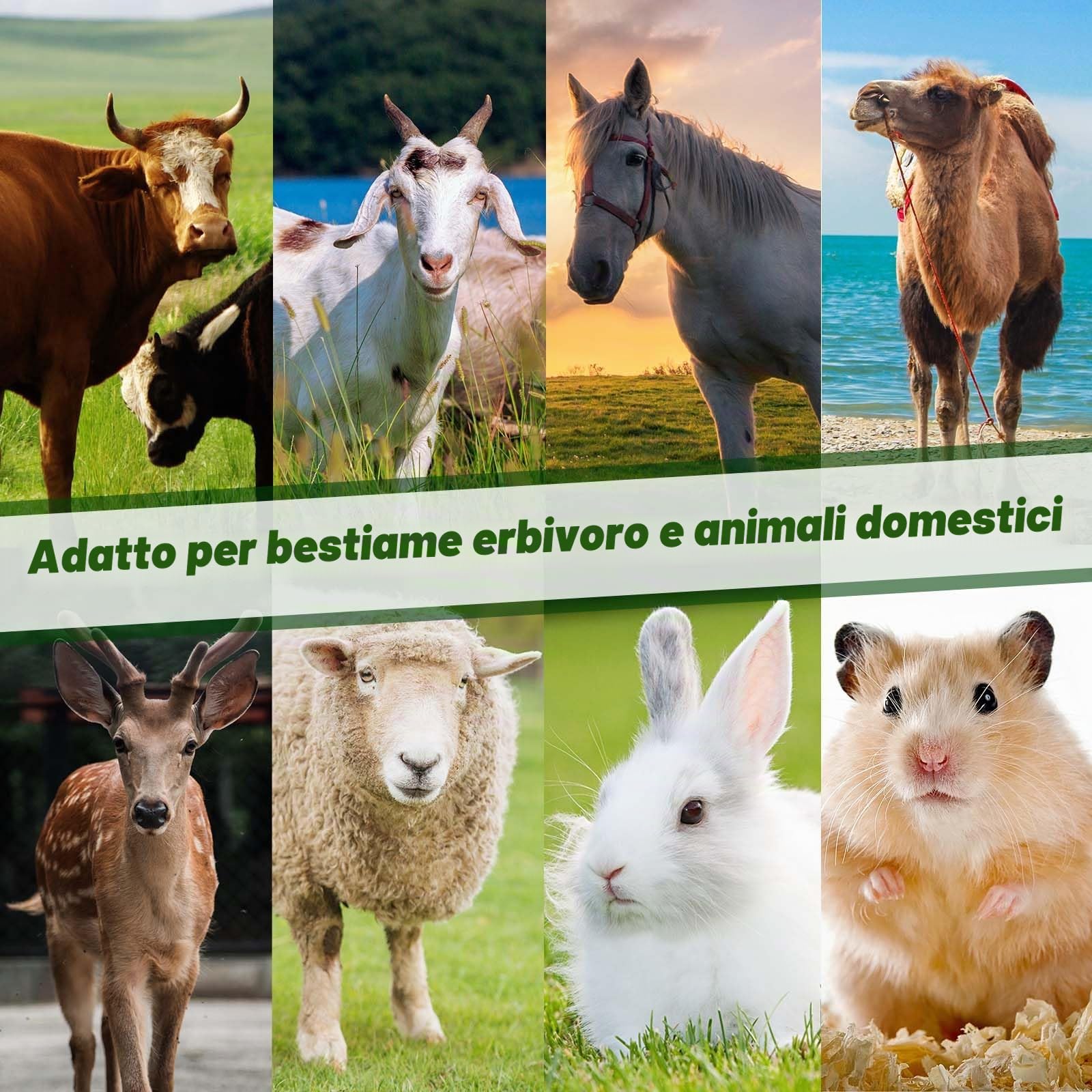 Blocco di Sale dell'Himalaya per Cavalli 1.7kg, Sali Minerali Naturali per Cavallo, Bovini, Caprini, Cervo