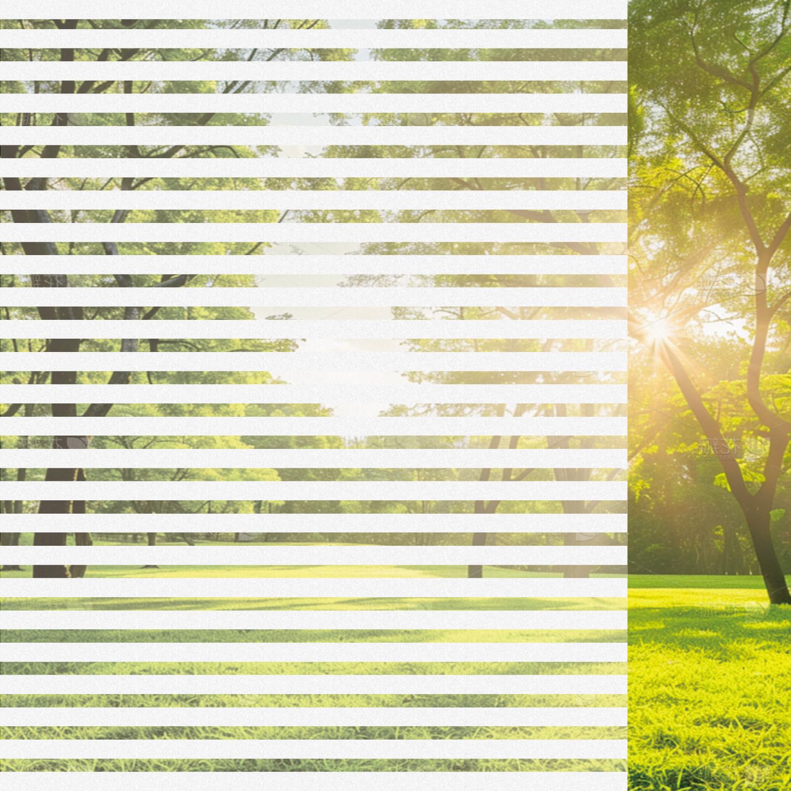 Window Film Privacy 55 x 145 cm Blocks UV Static Cling No Glue Removable Heat Cotrol, Privacy Protection, Non Adhesive Window Film for Home Office, Shutters