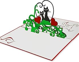 carte des chats