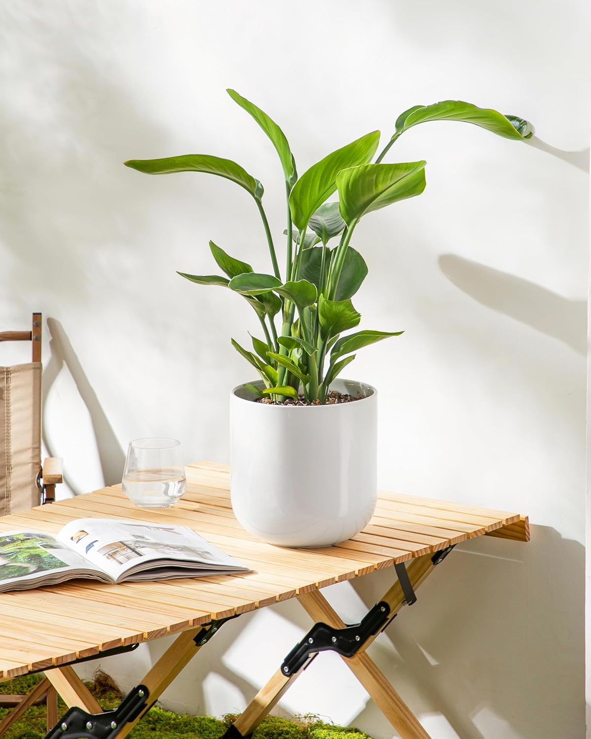 vancasso 8 Inch Ceramic Plant Pots, Planters with Drainage Hole, Flower Pots Planters Pots for Indoor Plants, Modern Indoor Decorative Garden Pot, Home Decor, White - Image 7