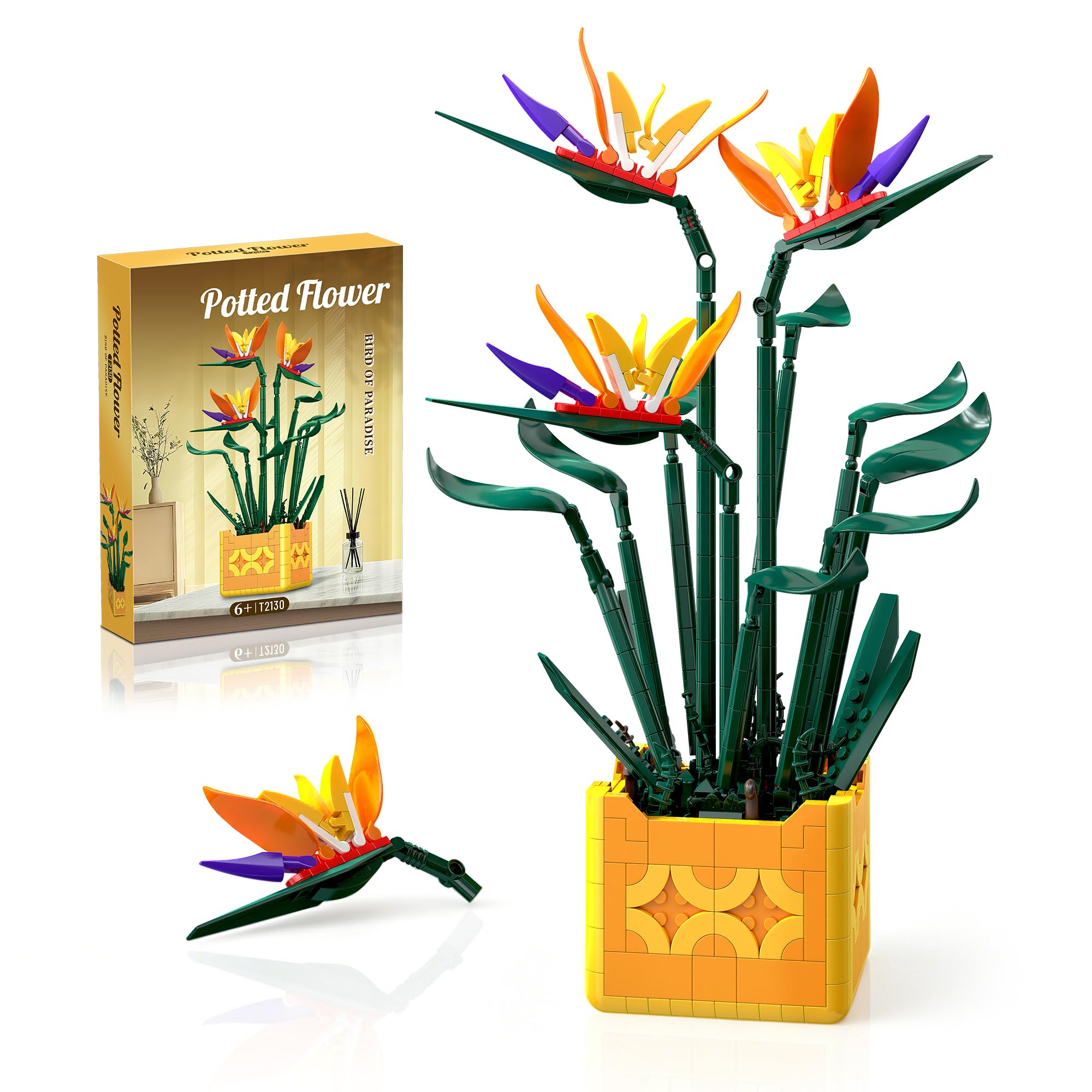 Amazon.com: EITOLNR Flowers Botanicals Bird of Paradise Building