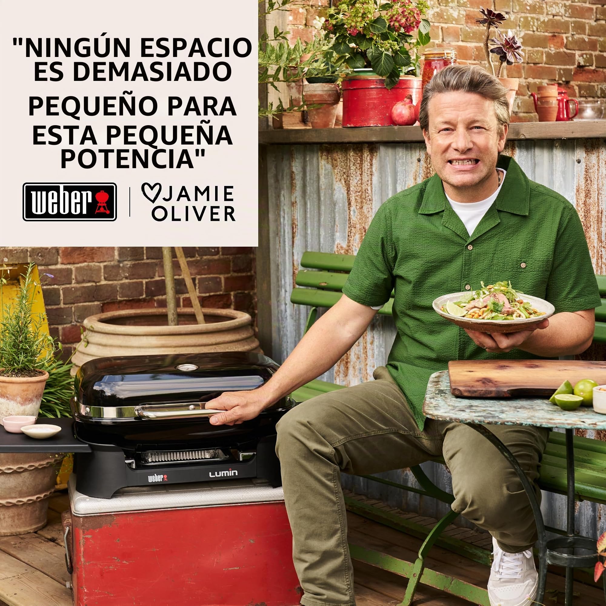 Weber Lumin Barbacoa eléctrica, hasta 315 °C, con termómetro Integrado en la Tapa, Parrillas de Hierro esmaltado, Superficie de cocción de 33 x 49 cm, Negro (1502045)