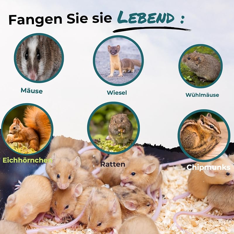 Anti9 Élvefogó Egércsapda - Prémium Fém Patkányfogó Kerti és Otthoni Használatra - Állítható Érzékenységű, Újrahasználható Csapda Egereknek,