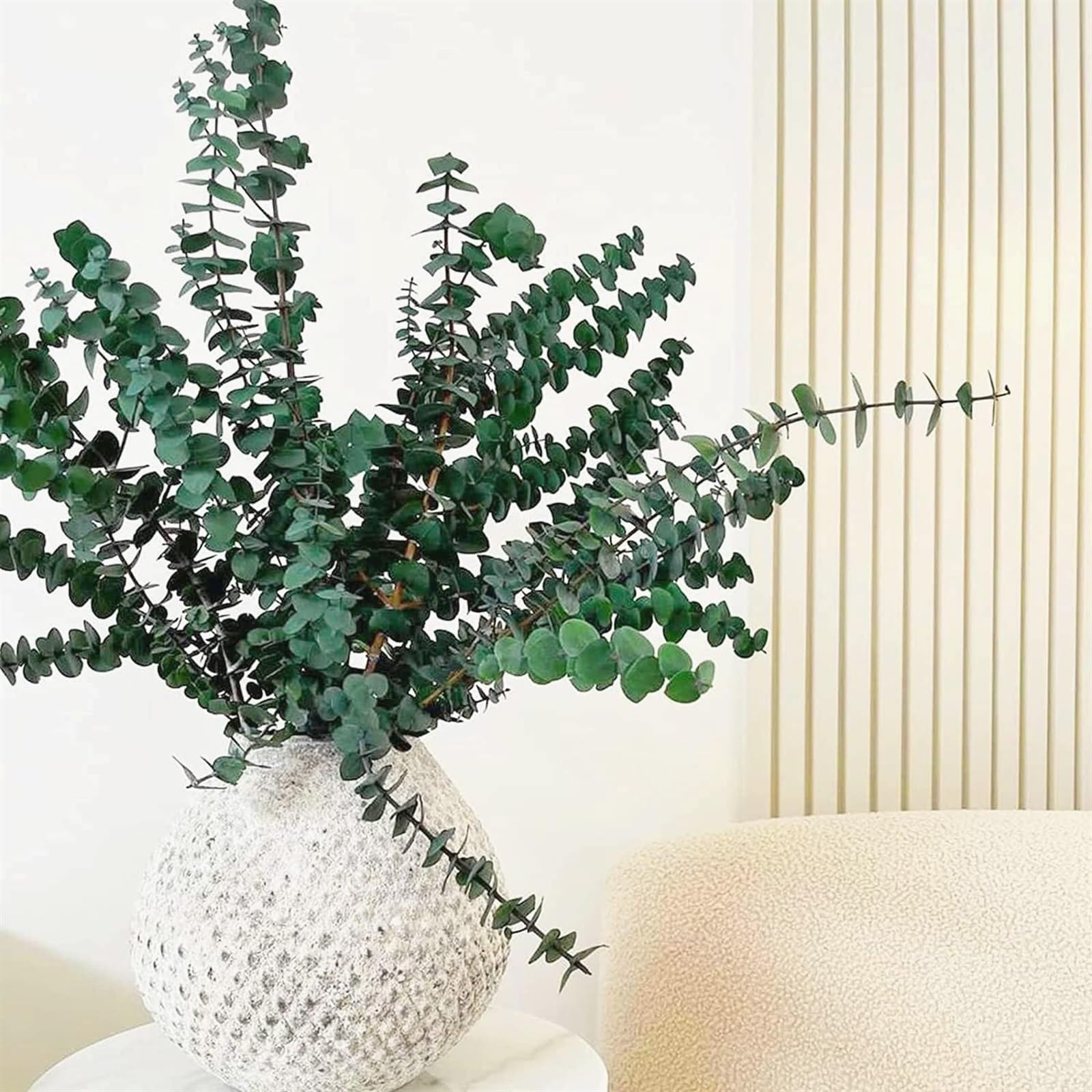 Eucalyptus suspendu pour douche – Véritables tiges d'eucalyptus de 43,2 cm, faisceaux d'eucalyptus séchés et conservés | Arrangement de fleurs à grandes tiges, Branches de plantés, douche, Branches d Eucalyptus suspendu pour douche – Véritables tiges d'eucalyptus de 43,2 cm, faisceaux d'eucalyptus séchés et conservés | Arrangement de fleurs à grandes tiges, Branches de plantés, douche, Branches d