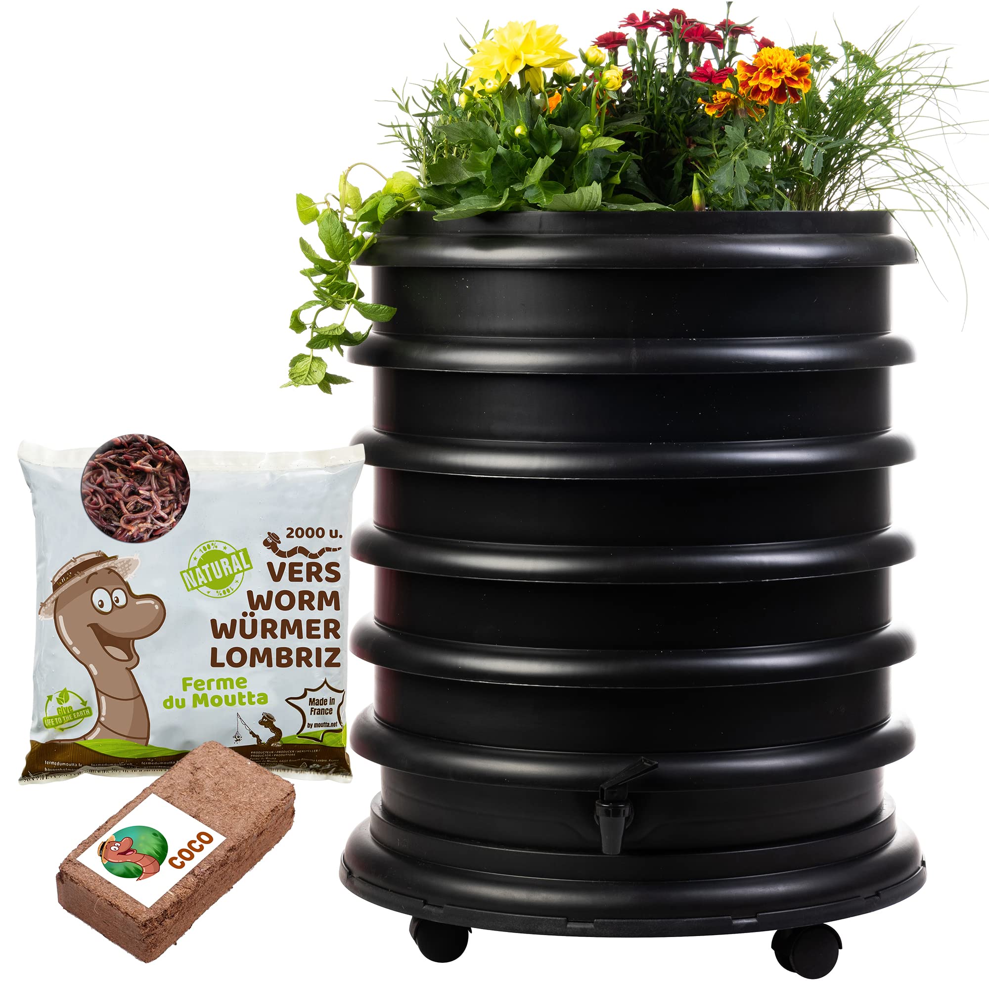 WORMbox | Wurmkomposter Wurmfarm Wurmkiste mit 4 Schalen Schwarz + Pflanzgefäß + 1kg Kompostwürmer / 2000 STK + 1 Coco | 64 Liter | Regenwurmkomposter, Kompostwürmer produzieren Wurmhumus