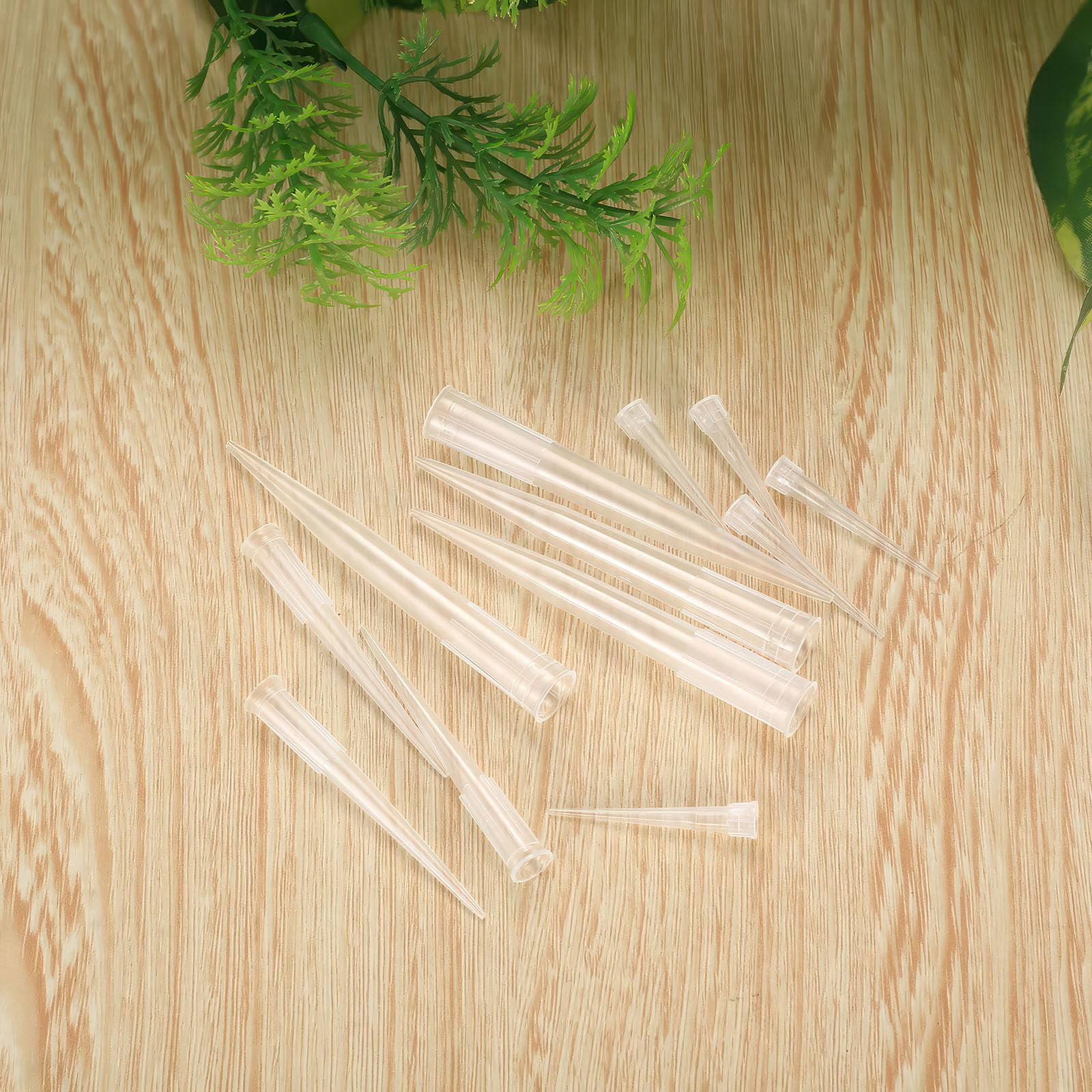200 Pz Provette Plastica Fiori, Provetta per Fiori Riutilizzabili, Tubi per Acqua per Fiorio, Provette per Fiorio Trasparente, Pipetta da Trasferimento per Decorazione di Torte