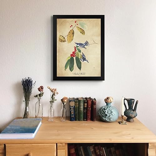 Miniatura 3 de James Audubon Azure Warbler - Marco biselado negro de 12 x 16 pulgadas  Decoración artística enmarcada  Reproducción de pintura de arte fino