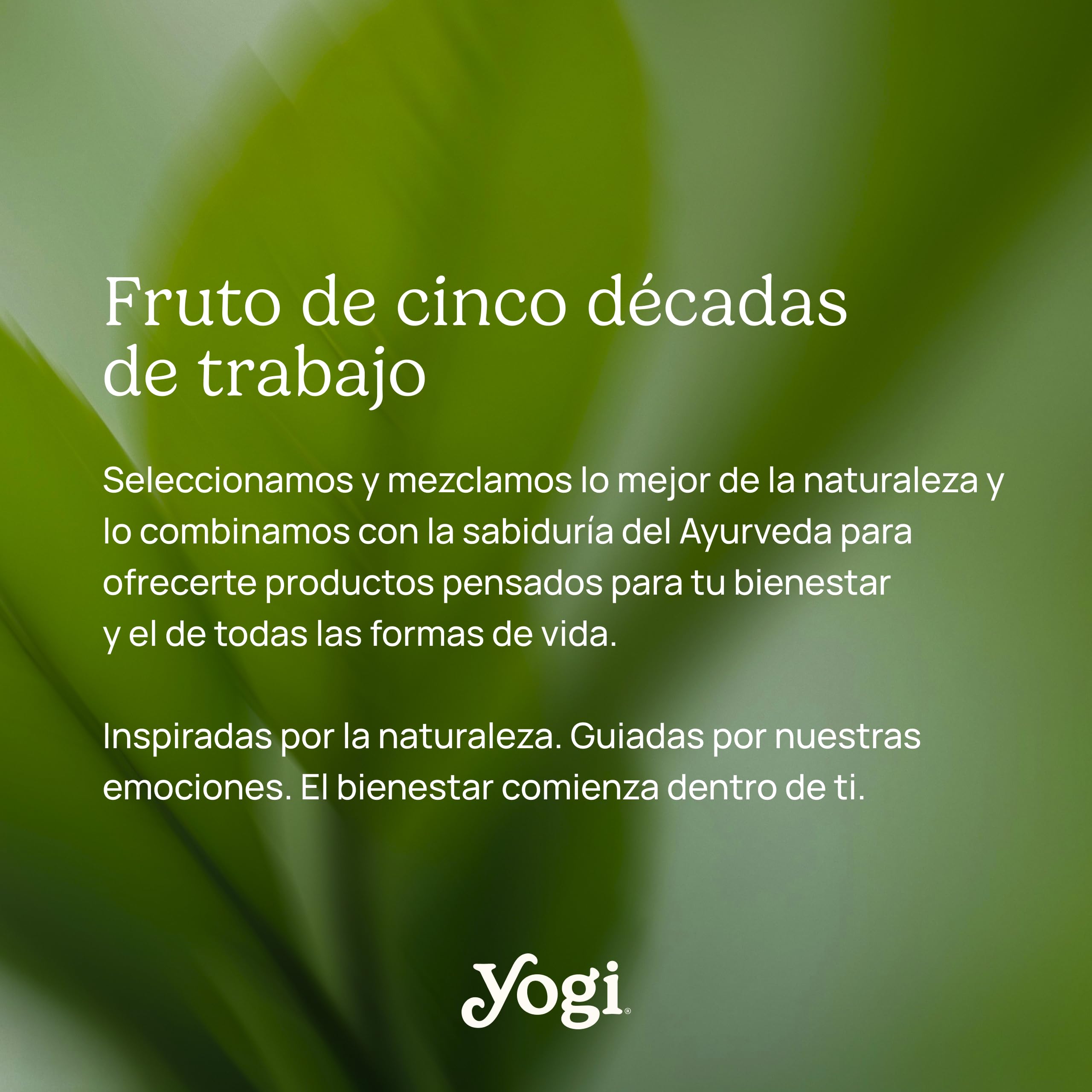 Yogi Tea Cold Brew Melocotón y Mango - Infusión Fría Natural, 15 Bolsitas, Bebida Refrescante Sin Azúcar, Té Helado Saludable
