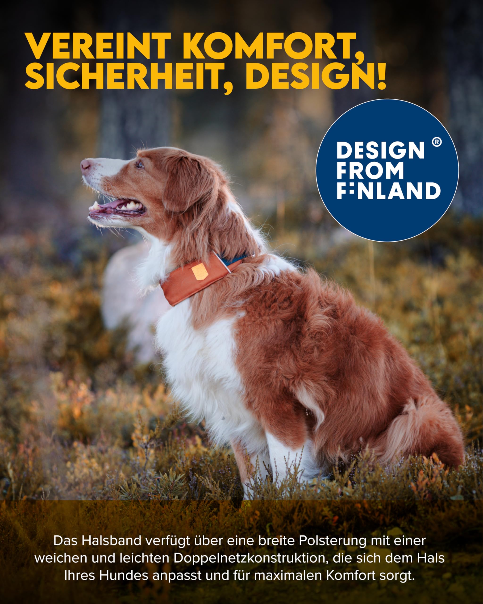 Woolly Wolf Alpha 360 LED Hundehalsband kleine Hunde S Terracotta Mix – Halsband aus 100% recyeltem Polyester mit sanfter, Ultra-Leichter Mesh-Polsterung