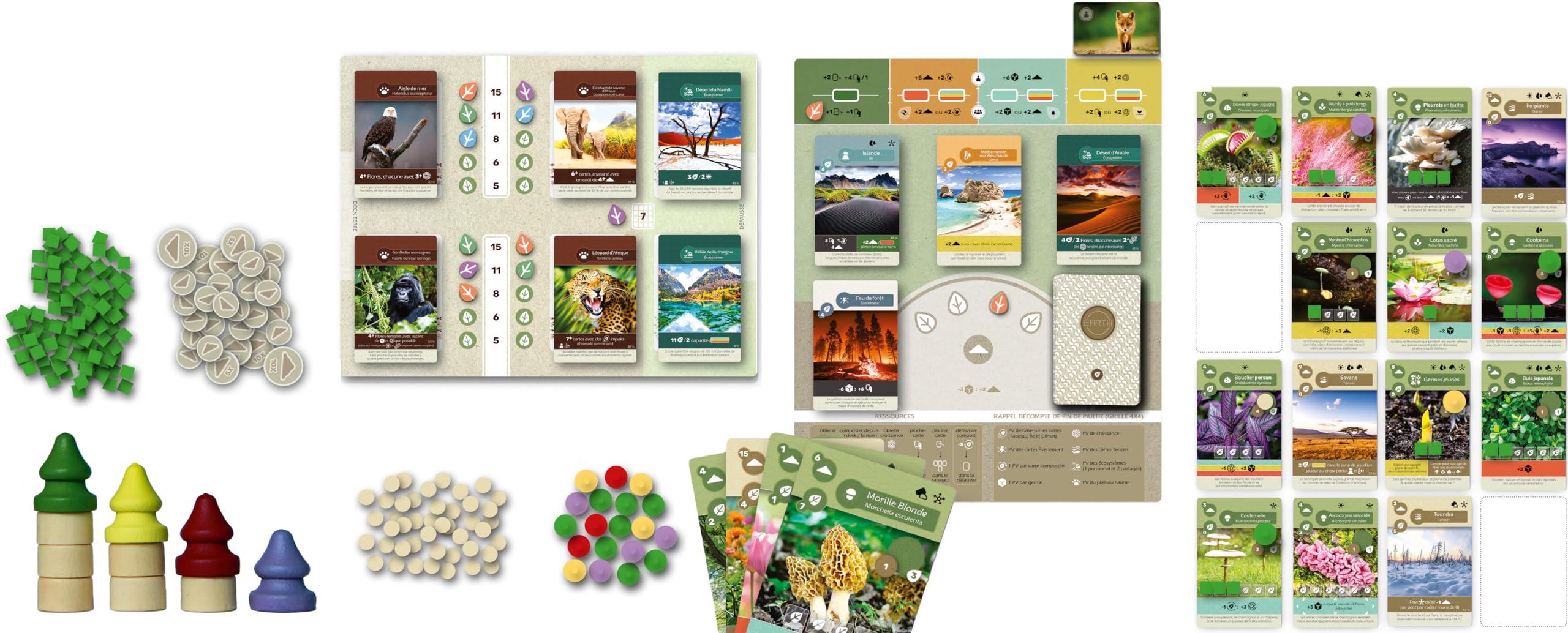 Lucky Duck Games - Ziemia | Wersja francuska | Gra planszowa | Gra planszowa | Od 14 lat | 1 do 5 graczy | 45-90 minut