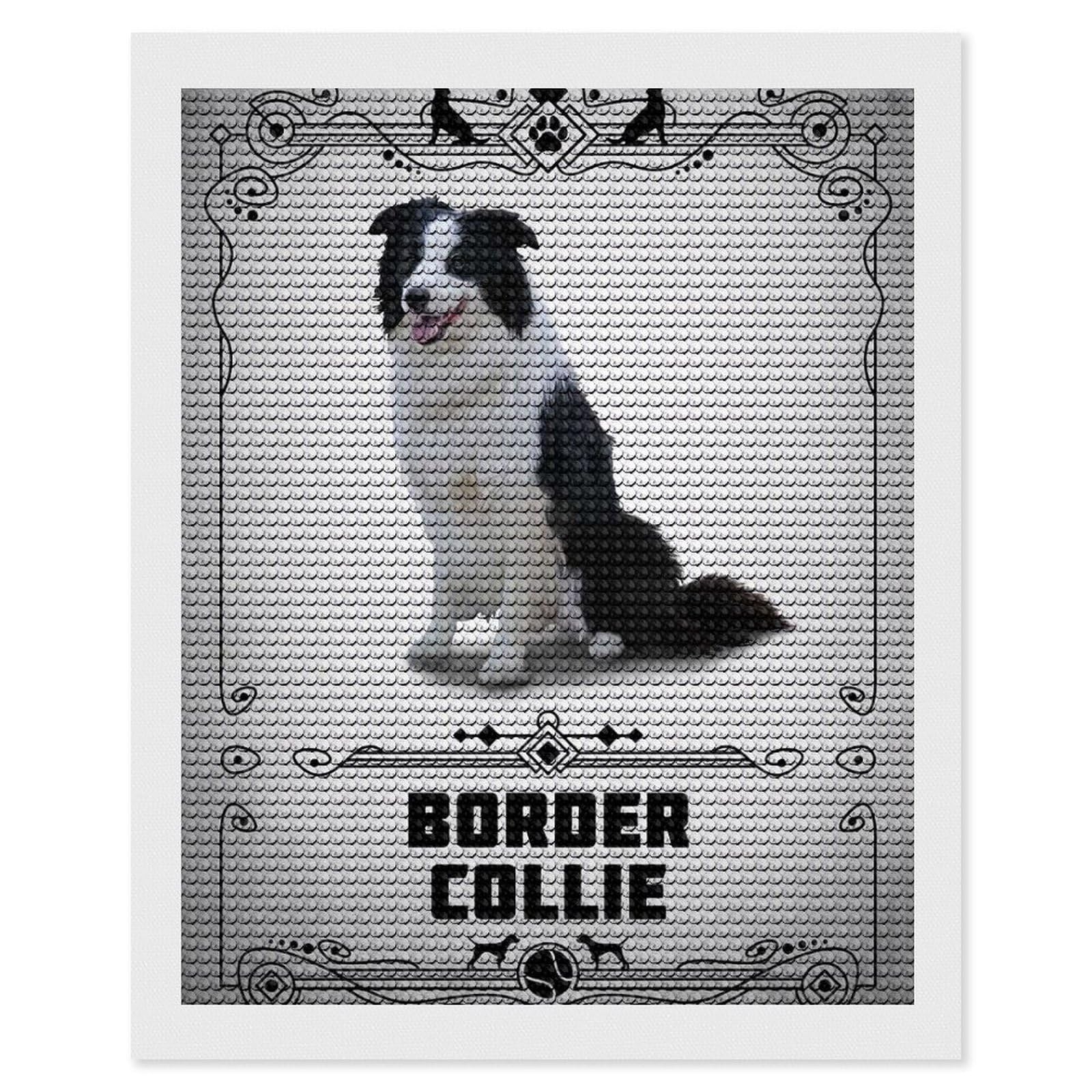 Junmoney Border Collie Diamond Art Canvas 16"x20", for Adults, Pleasing Wall Art Project, Modern Decor, Gift Idea, Nice Detail and Sparkle
