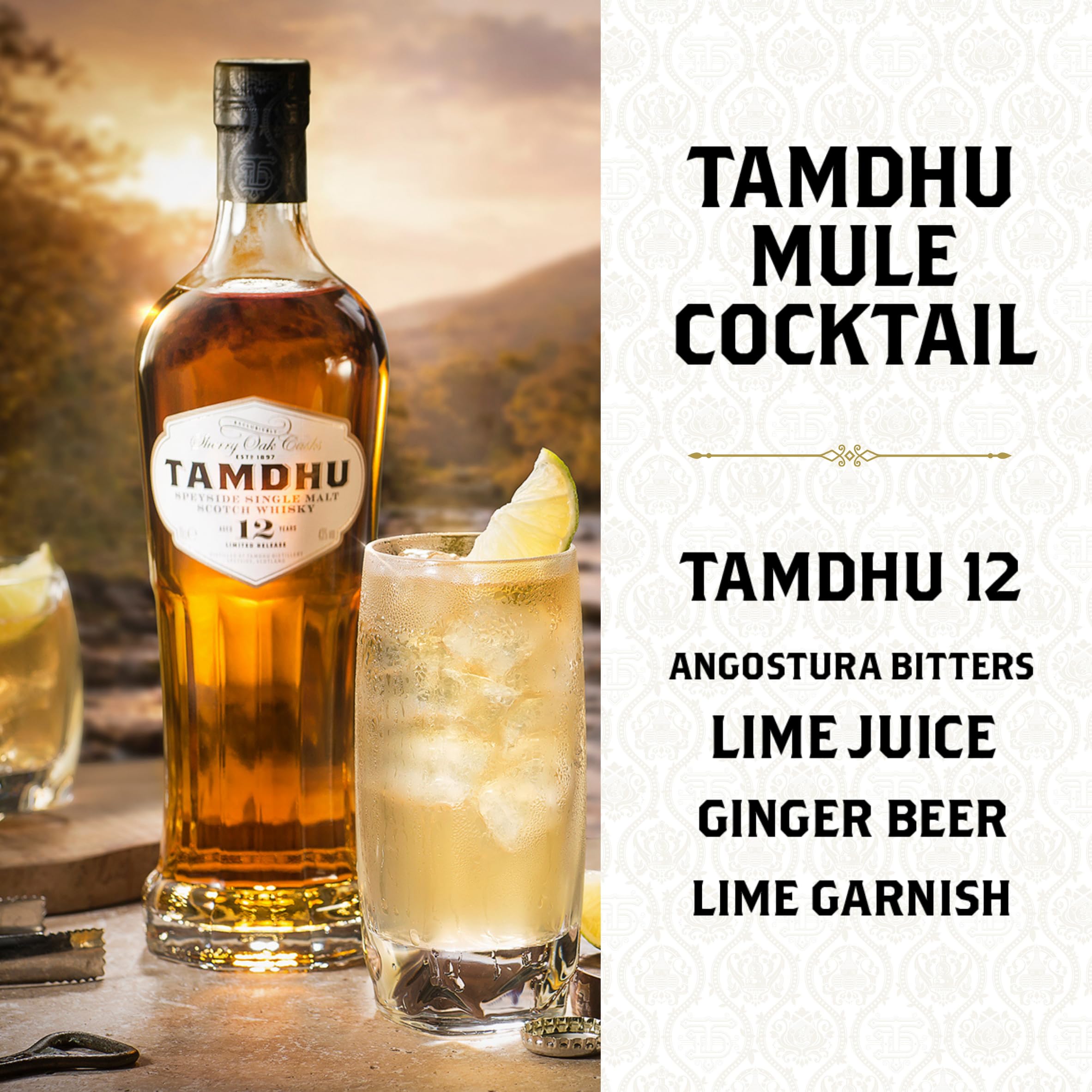 Tamdhu 12 Years Old Speyside Single Malt Scotch Whisky 43% Vol. 0,7l in Giftbox