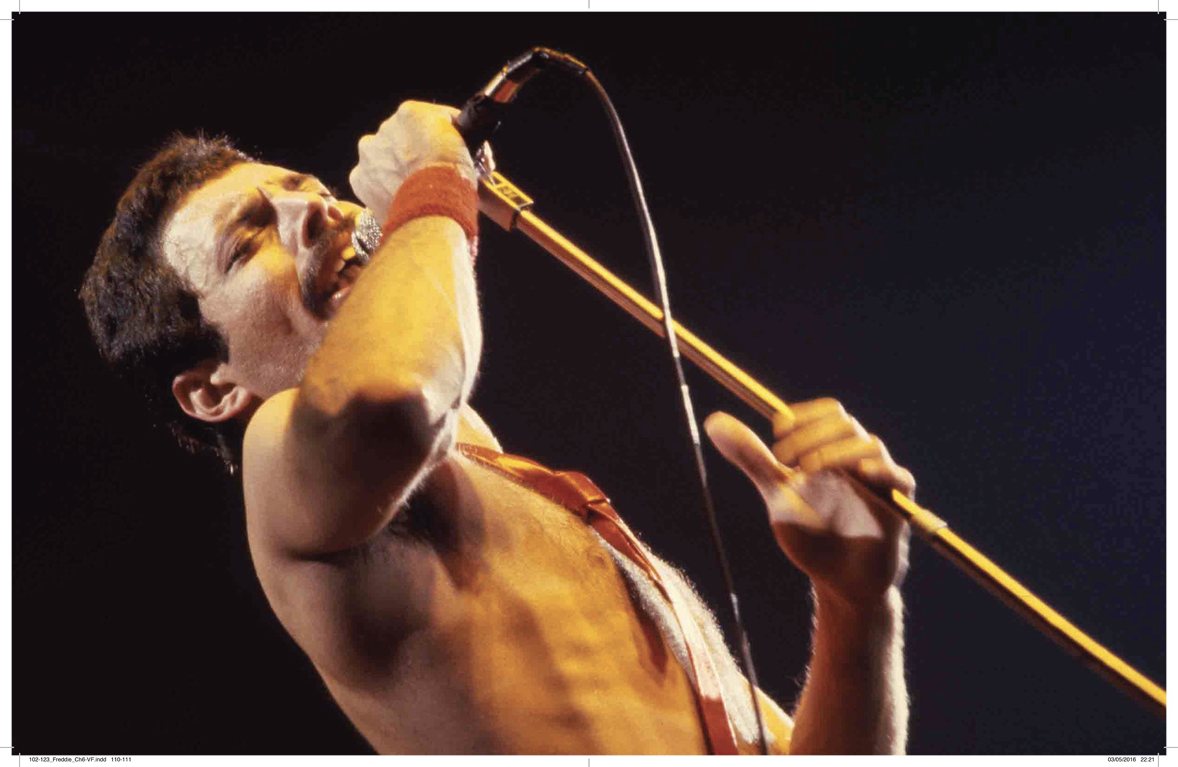 Freddie Mercury - A Kind of Magic - L'histoire illustrée