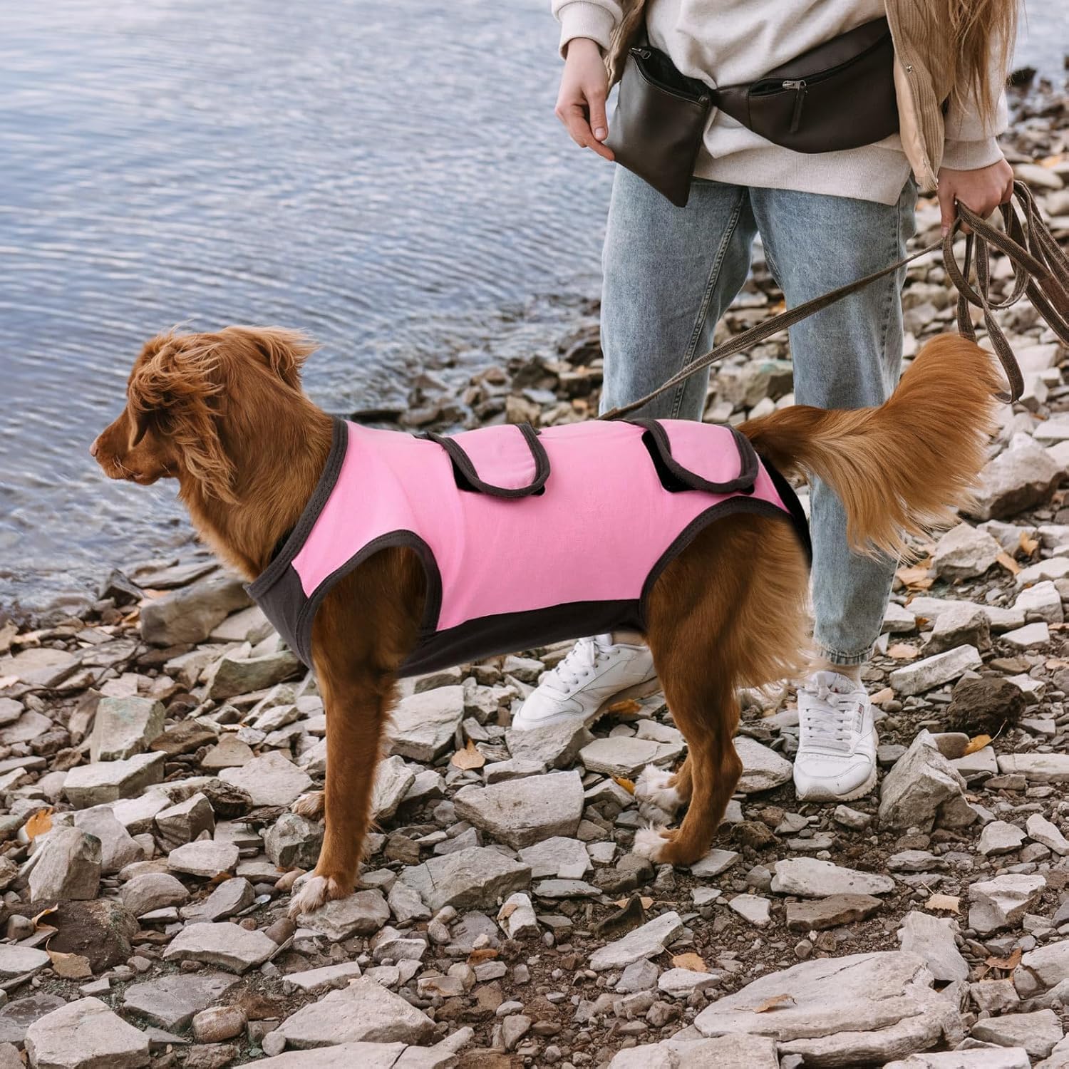 ASENKU Traje de Recuperación de Cirugía para Perros, Body Perro Post Cirugía Hembra, Pijama Perro, Alternativa de Collar en Forma de Cono para Perros Después de la Cirugía