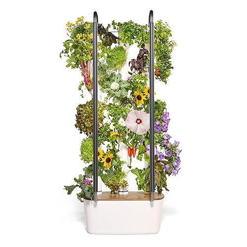 Gardyn 4.0 Hydroponics Growing System Kit & Vertical Garden Planter, 30 Non-GMO Indoor Plants Smart Garden, Herbs, Vegetables & LED Grow Lights for Indoor Gardening System - Gardyn 4.0