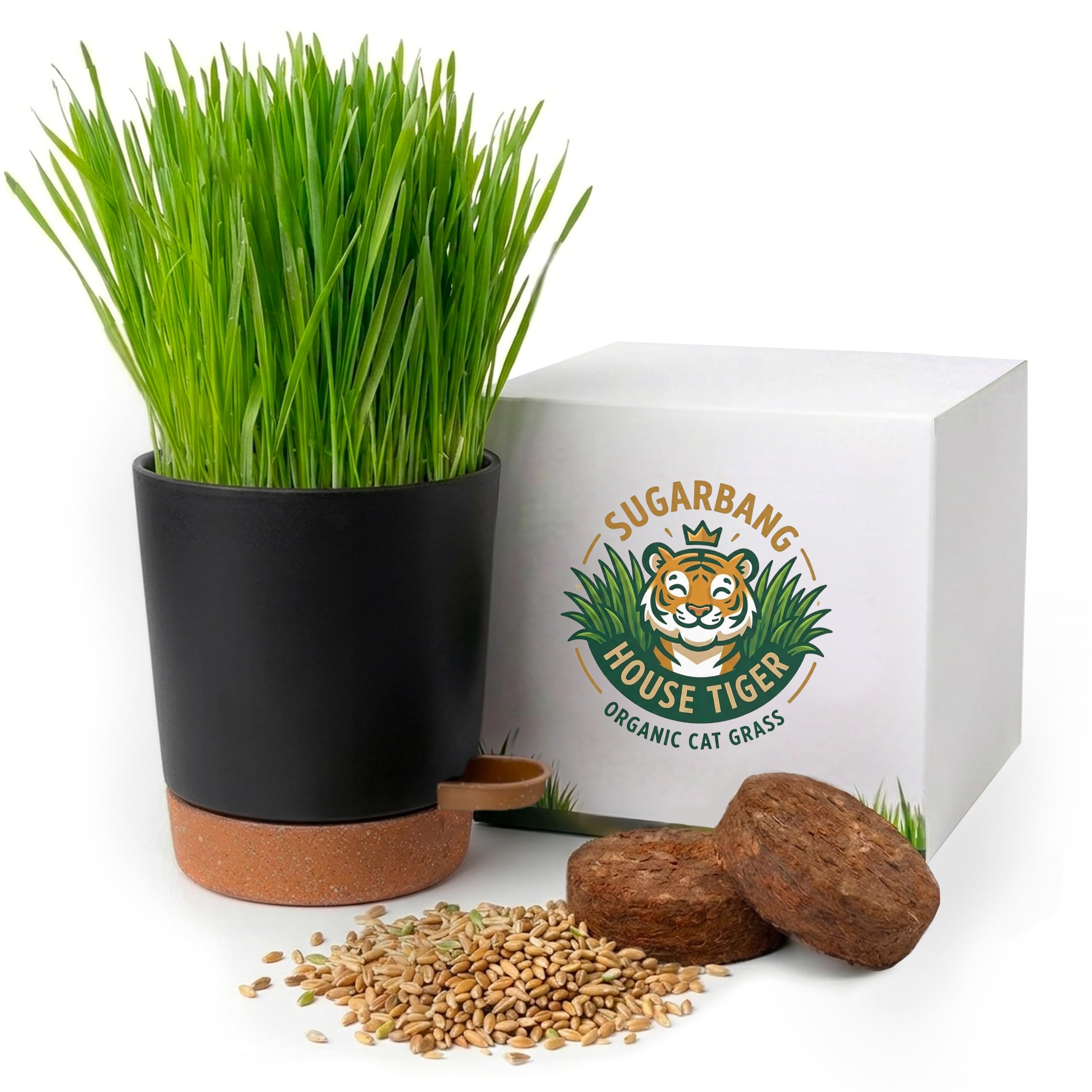 House Tiger Cat Grass Kit