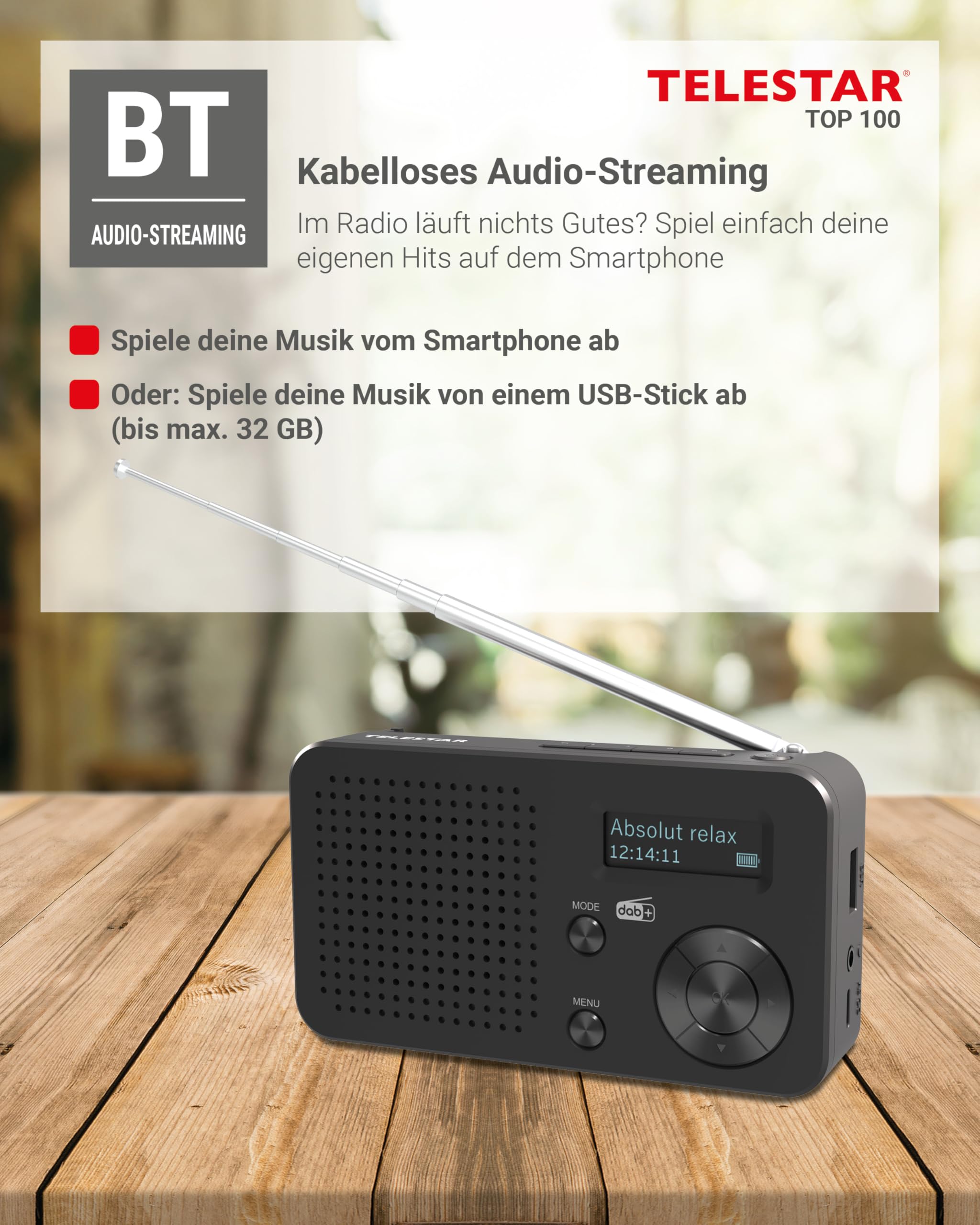 TELESTAR TOP 100 – Mobiles DAB+/UKW Radio mit Akku – Schwarz | Austauschbare Batterie, bis zu 15 Std. Spielzeit, kurze Ladezeit, Bluetooth Audio-Streaming, USB-Mediaplayer
