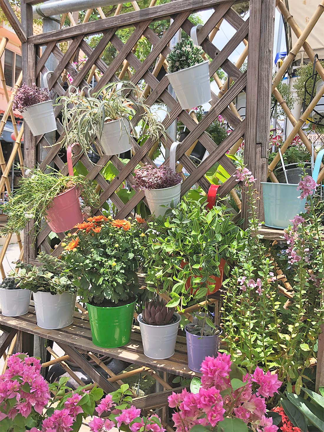 Amazon.com: Bloss 6 Pack Hanging Flower Pots, Metal Hanging Planters  Buckets with Detachable Hook and Drainage Hole Indoor/Outdoor Hanging Plant  Holders for Balcony Garden Railing Fence, Large Size Multicolor :  Everything Else