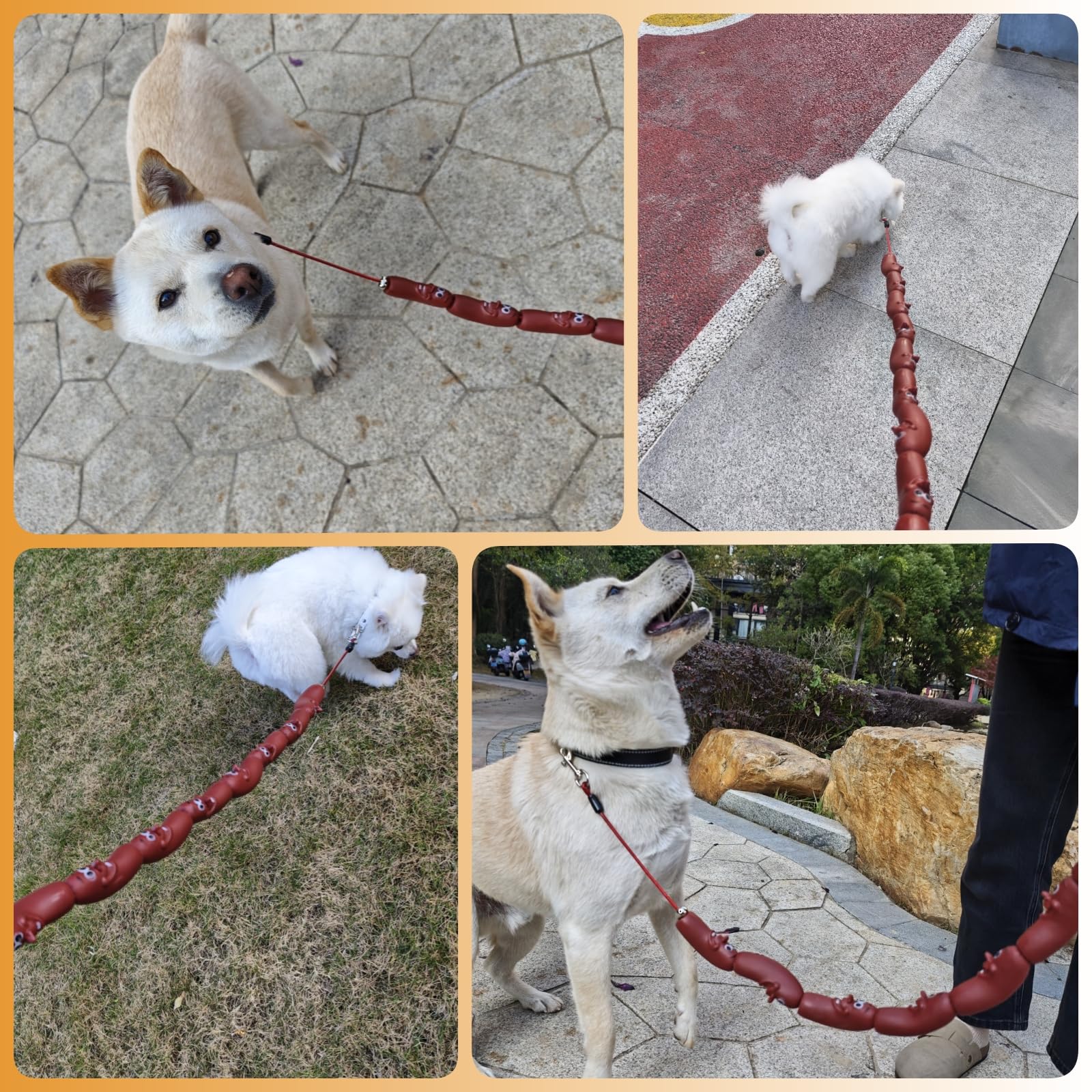 Correa divertida para perro salchicha, correa duradera para perros pequeños y medianos, cachorros, gatos y gatitos, perfecta para corgis y perros salchicha (rojo)