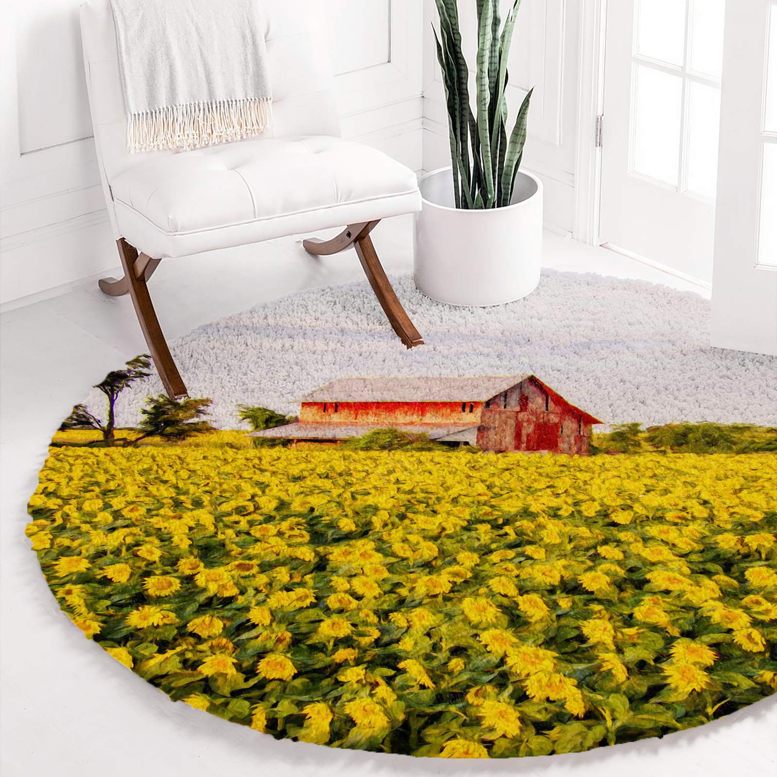 The Rug Barn Throws