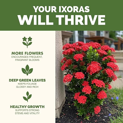Ixora Fertilizer – Liquid Plant Food for More Blooms, Rich Green Leaves & Stronger Root Development, 8 oz miniatura 2
