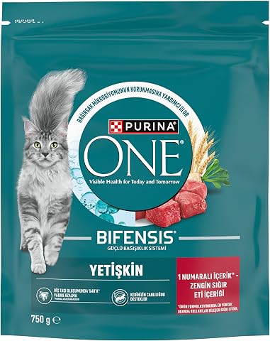 Purina ONE Sığır Etli Yetişkin Kuru Kedi Maması 750g