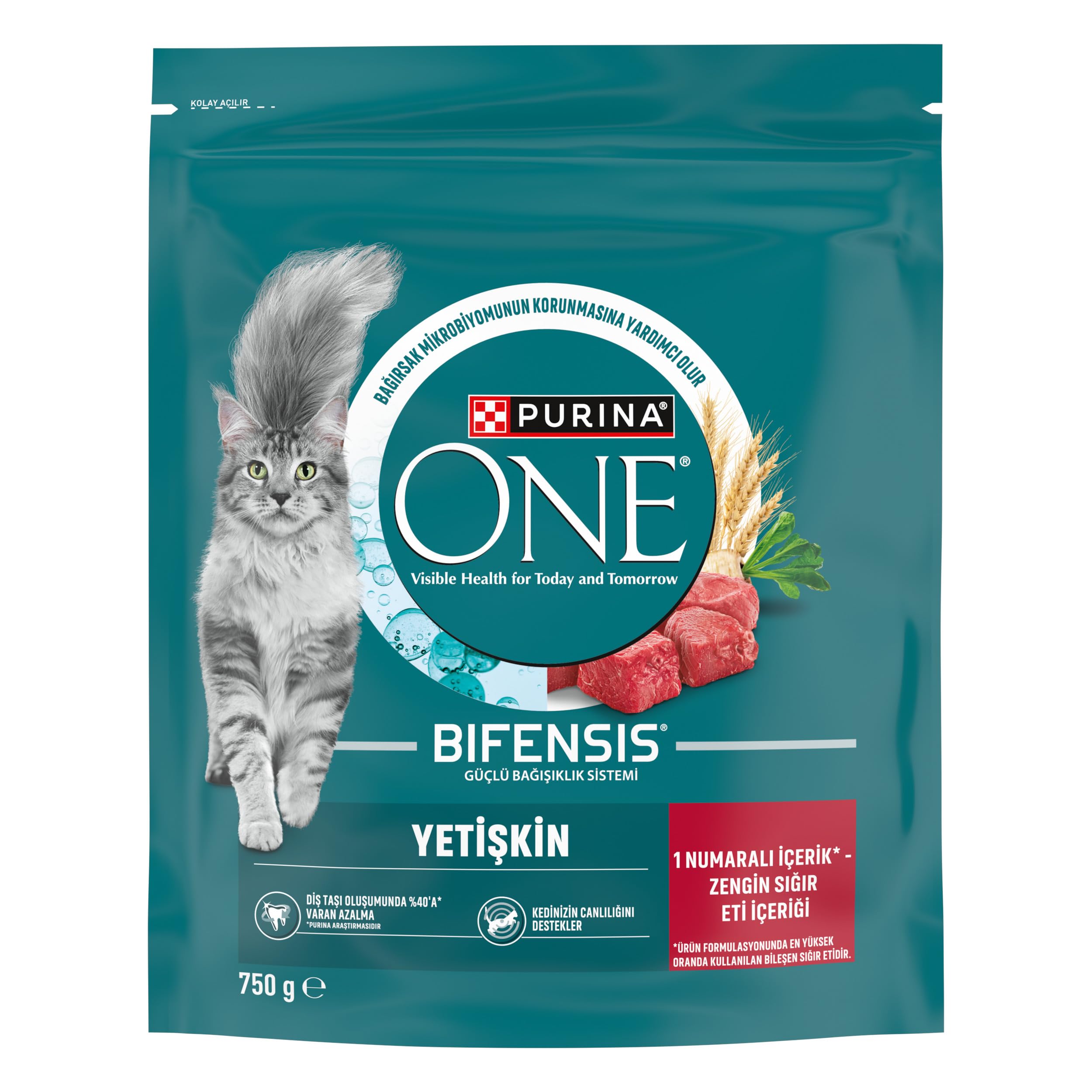 Purina ONE Sığır Etli Yetişkin Kuru Kedi Maması 750g