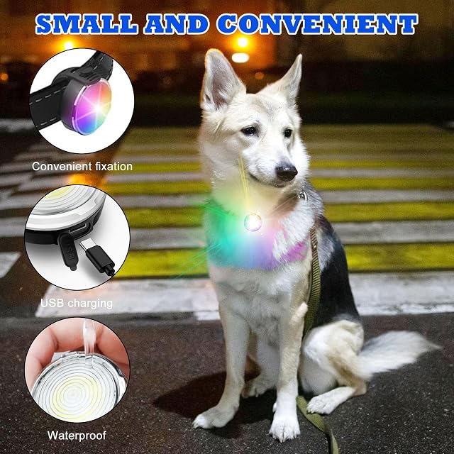 Foto 3 de 7 de BORDEAG Luces De Seguridad Para Mascotas, 2 Colgantes Luz Perro, Colgante Luminoso Para Perro Con 7 Colores