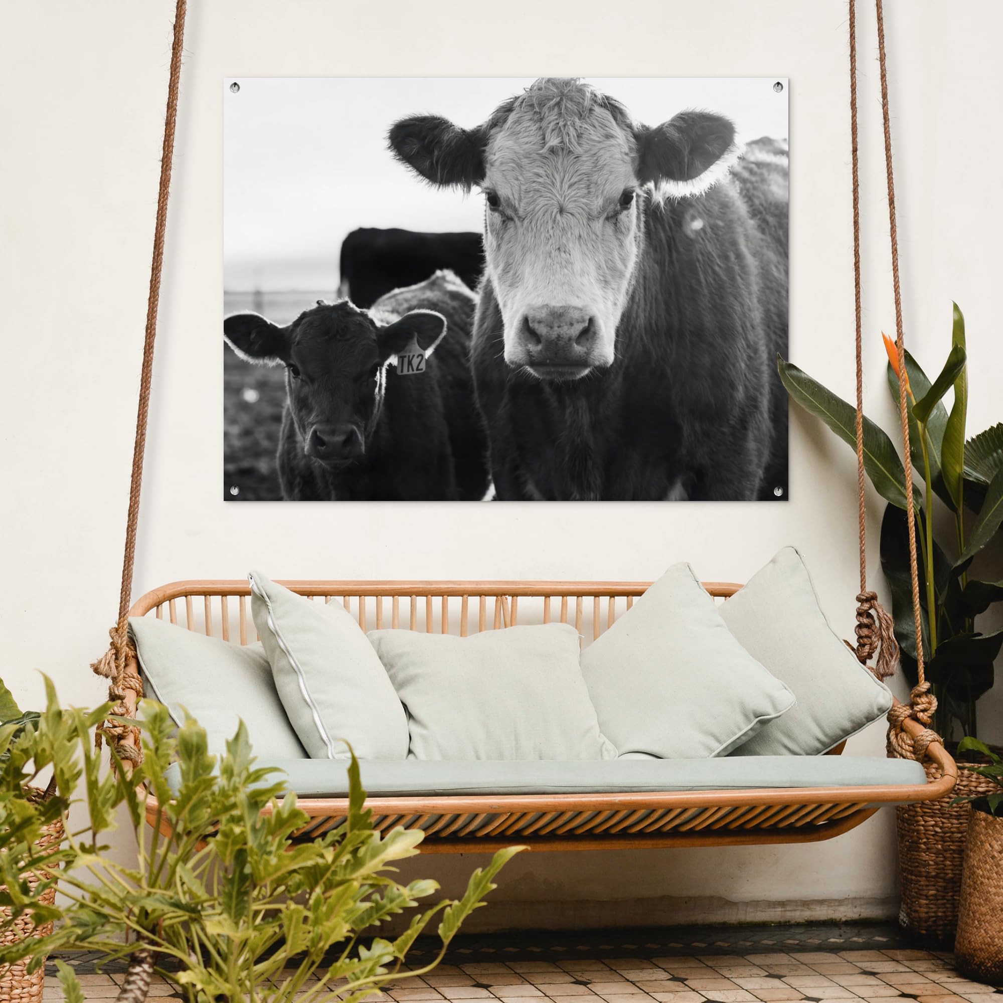 MuchoWow© Decoracion Jardin Exterior Decoración Pared Póster De Jardín | 120x90 cm - Balcón Wall Decoration Patio Posters Decorativos Terraza Vacas - Blanco y negro