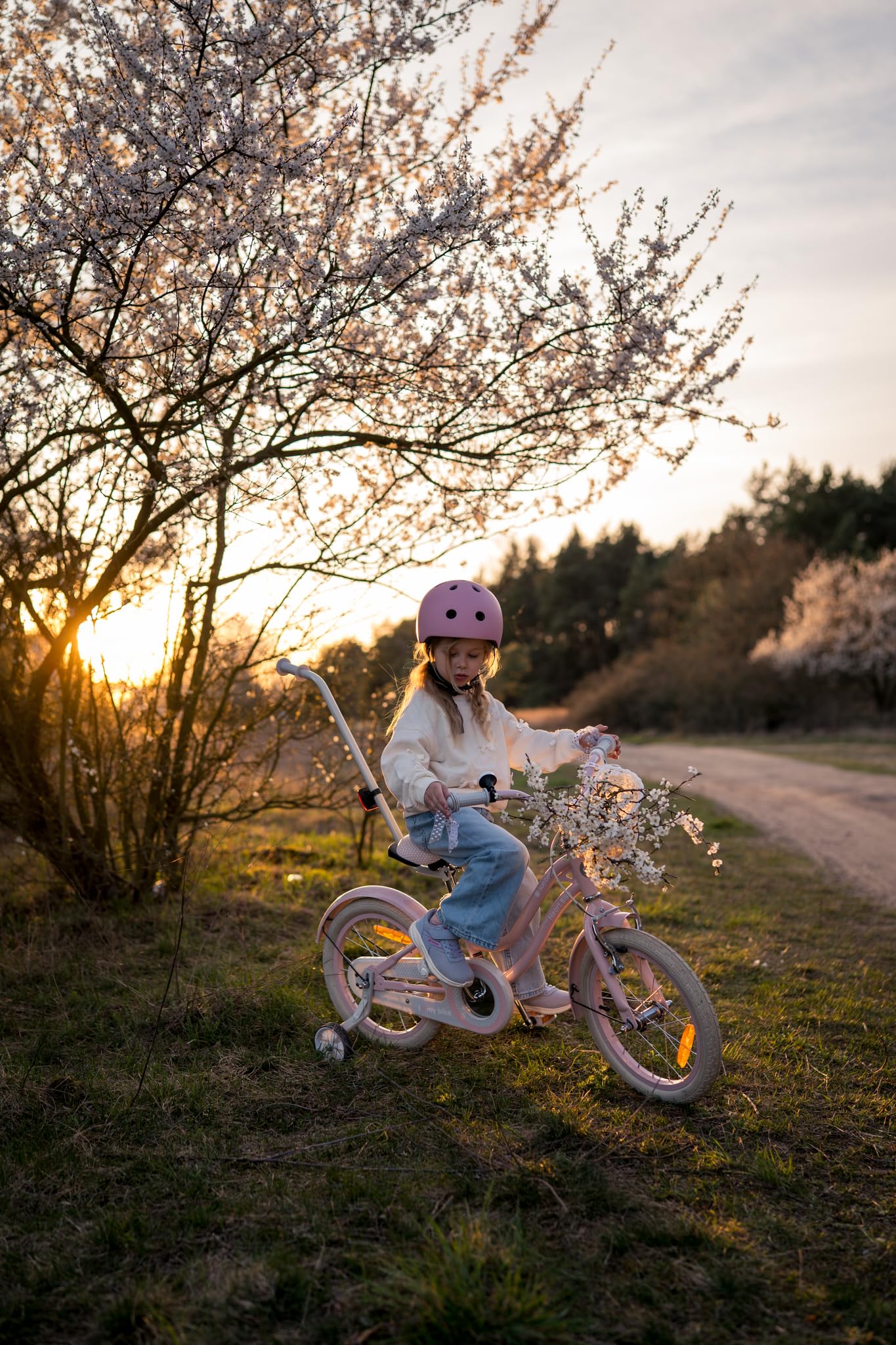sun baby Heart Bike Bicicleta Infantil para niña 12/14/16 Pulgadas, con ruedines, Barra de Empuje, Cesta, Timbre, Freno contrapedal y V-Brake