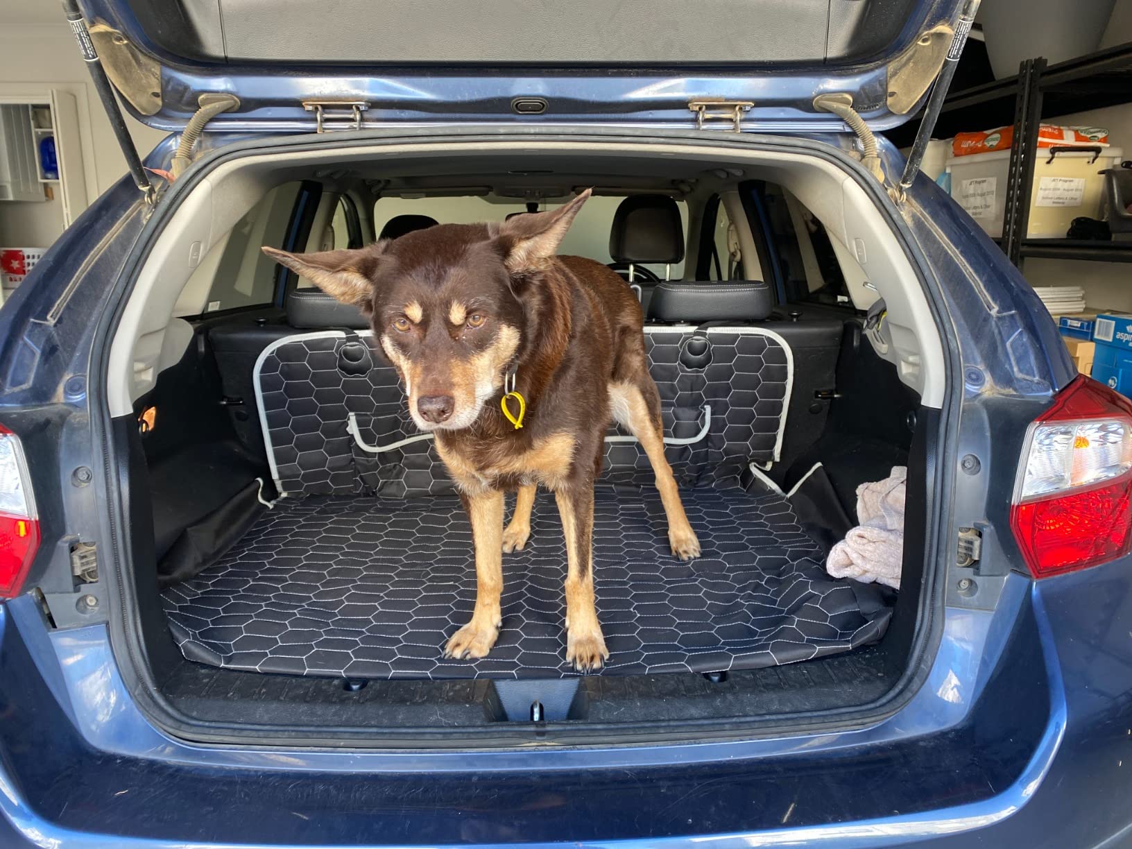 Oasser SUV Cargo Liner for Dogs, Waterproof Cargo Cover Pet Trunk Mat