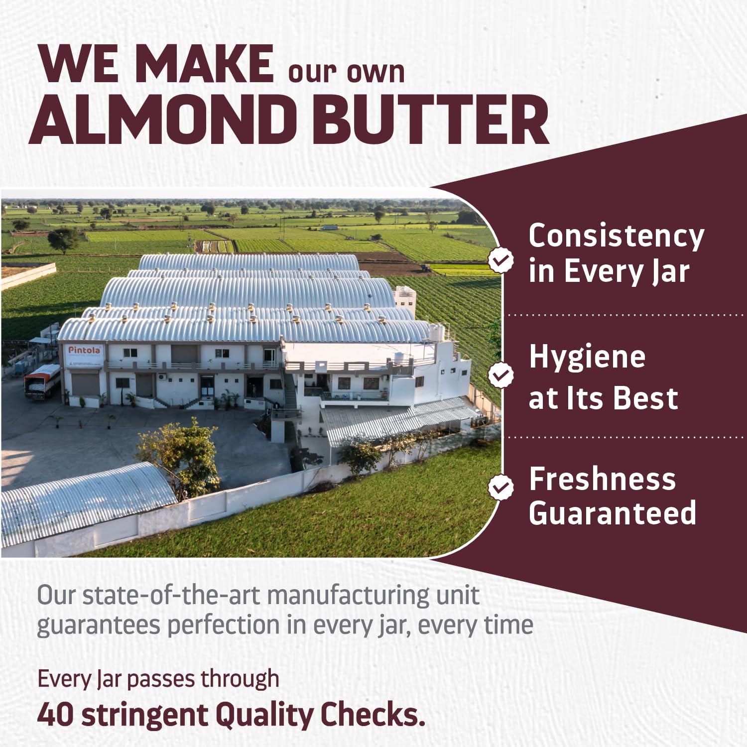 Pintola All Natural Almond Butter (Crunchy) (1kg)