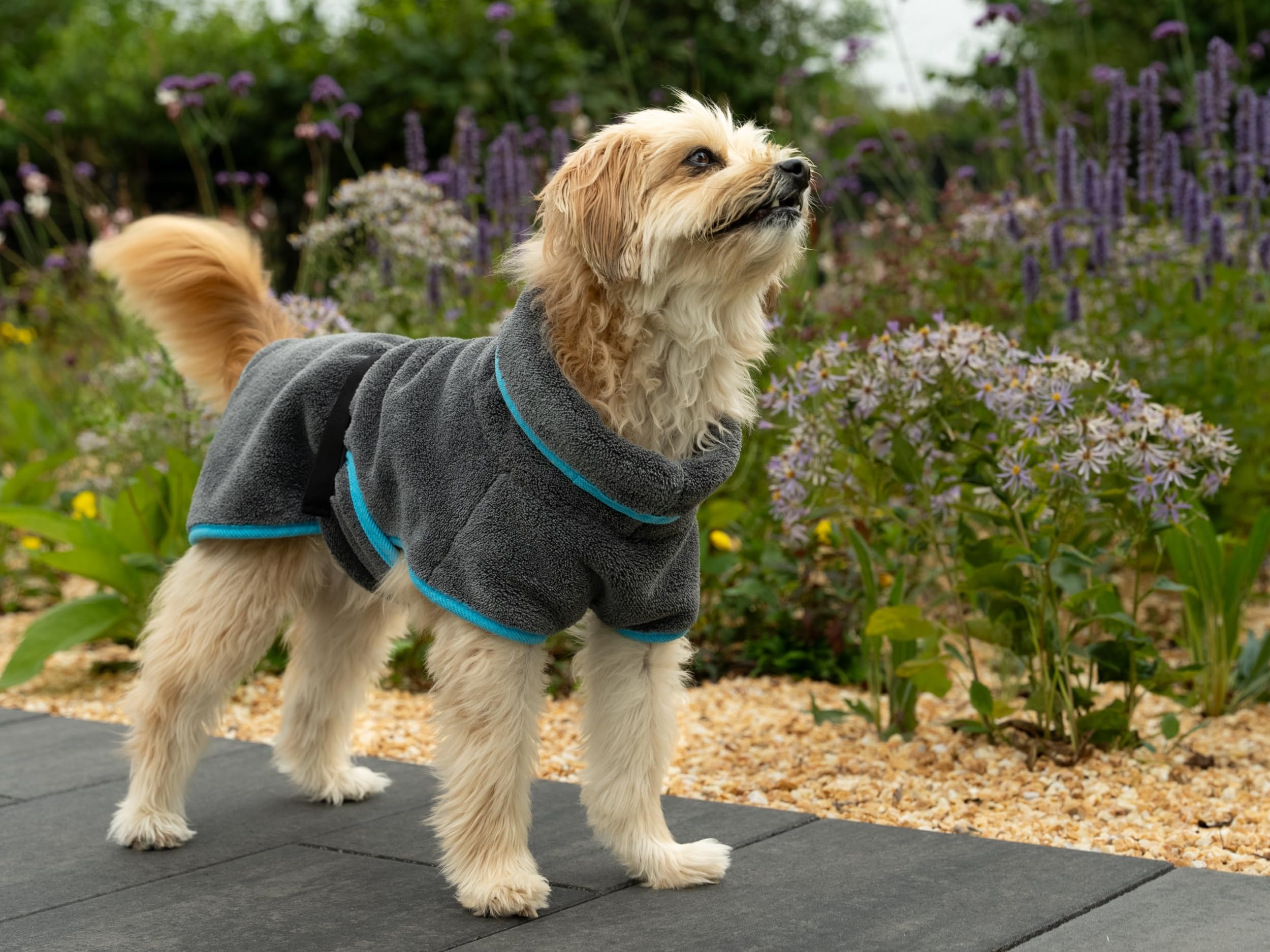 TrendPet Dampfhund Premium Bademantel für Hunde, Supersaugfähig und in 11 Größen verfügbar - Passend zu jeder Hundegröße Gr. 06 | 45-50 cm