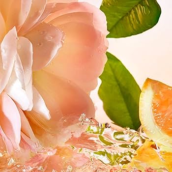 新品未使用！ランコム　イドル オー ドゥ トワレ　香水　フレグランス 50mL Amazon.co.jp: LANCÔME(ランコム) イドル オー ドゥ トワレ 50mL