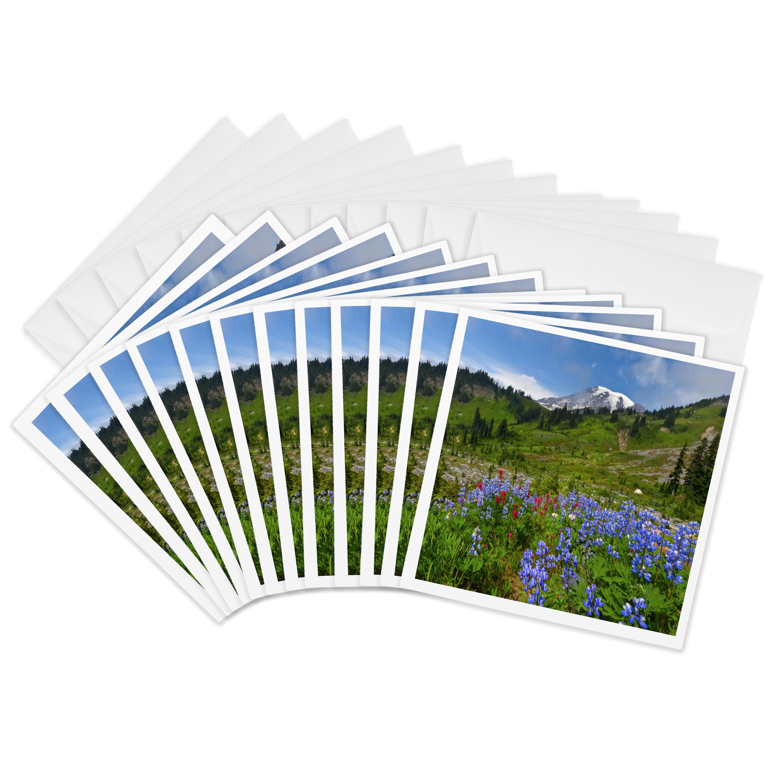 3dRose gc_148809_2 6 x 6-Inch "Wildflower, Mt Rainier National Park, Washington, USA - Us48 Tno0027 - Tom Norring" Greeting Card (Set of 12)