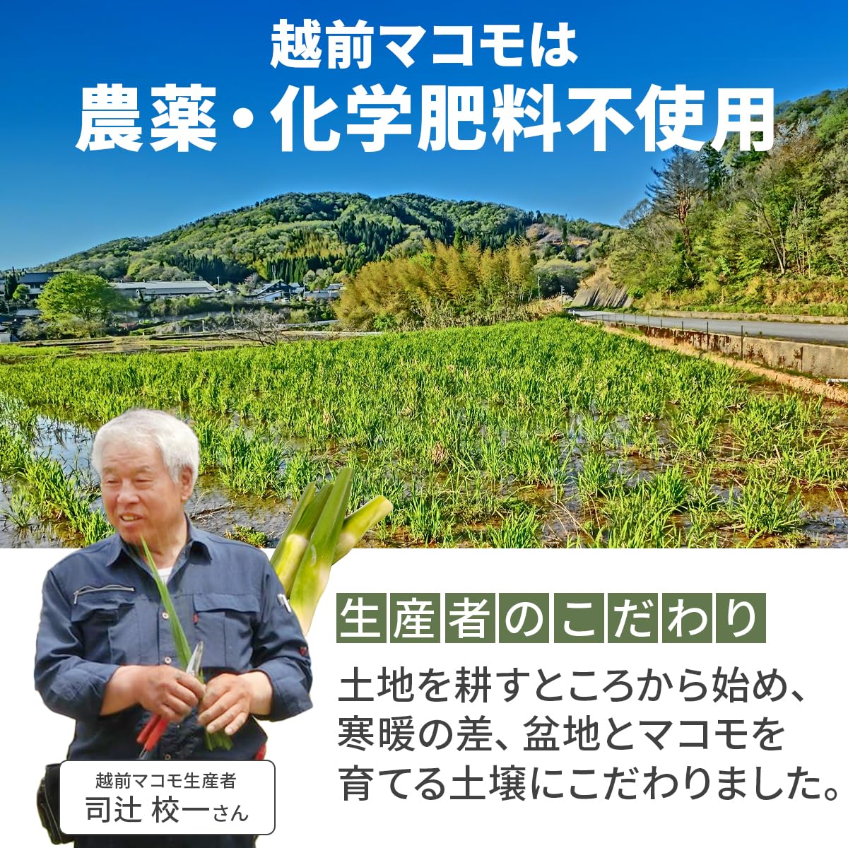 Amazon.co.jp: 福井県認証 特別栽培農産物指定 越前まこもパウダー 40g 