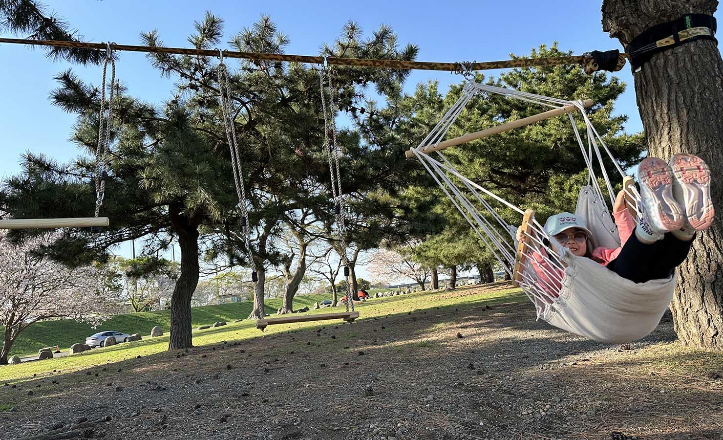 Amazon.co.jp: [Slack Tool]スラックツール ツリースイング