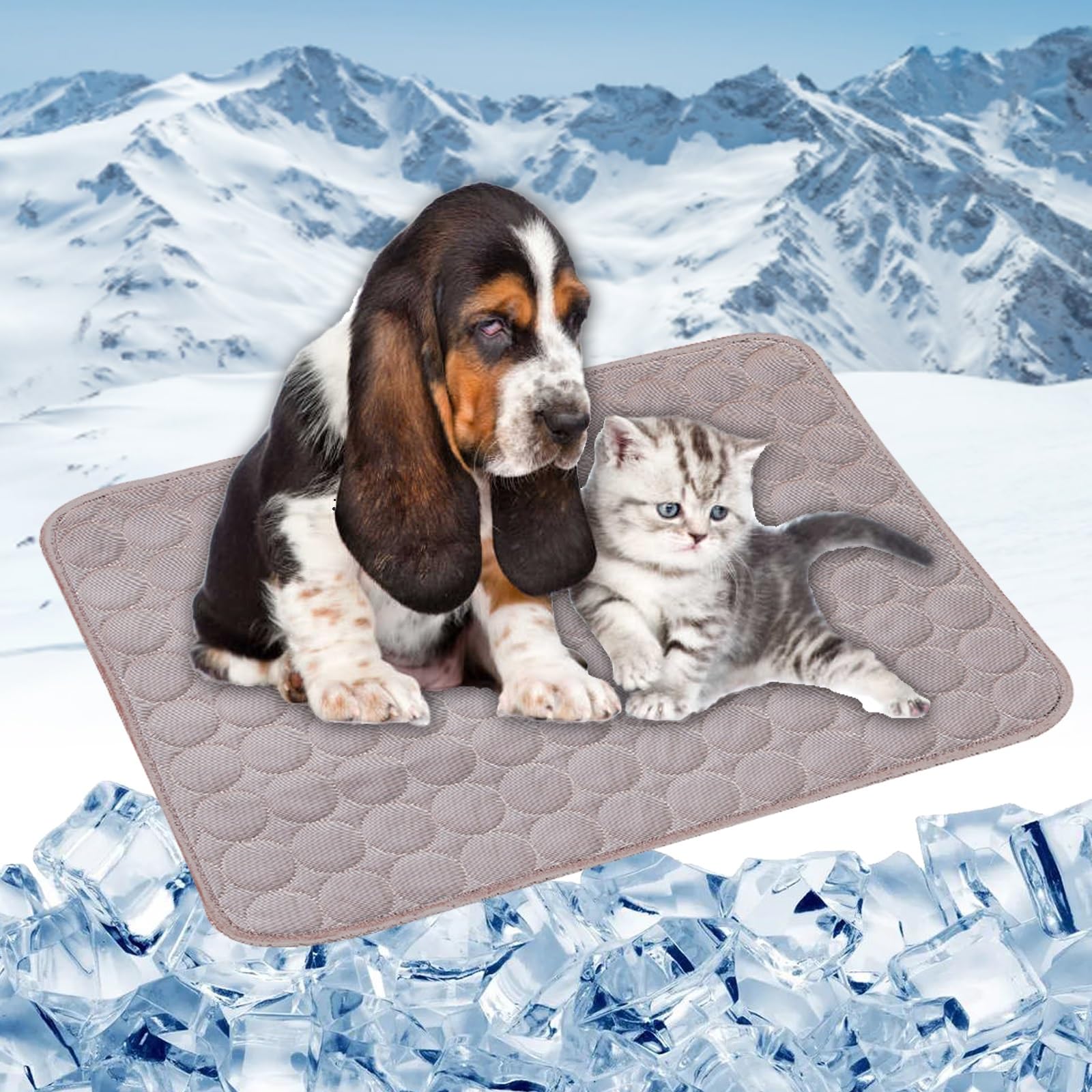 Coussin pour grand chien respirant pour un été au frais au salon