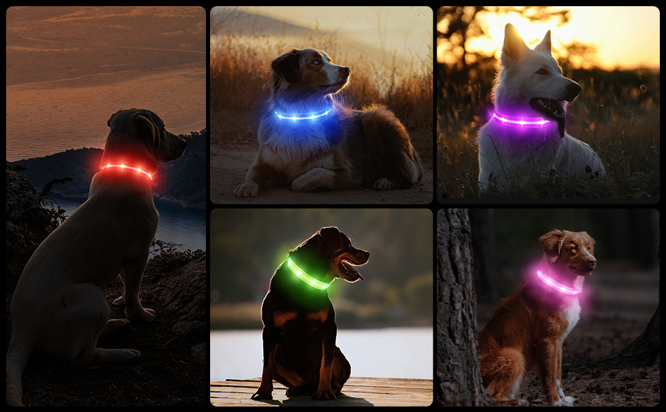 LED Hundehalsband Wiederaufladbar – 3 Lichtmodi, Wasserdicht & Verstellbar