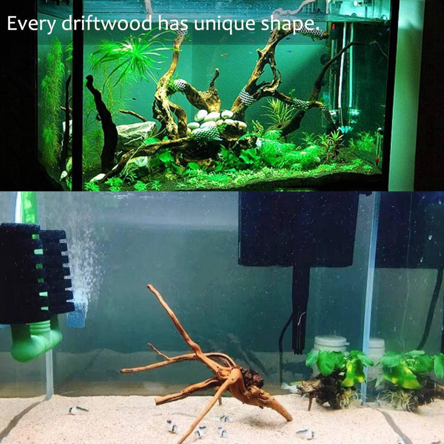 LAXED Mini Driftwood per acquario, rami di legno naturale, decorazioni per acquari, rettili, d'albero in legno naturale, confezione da 10